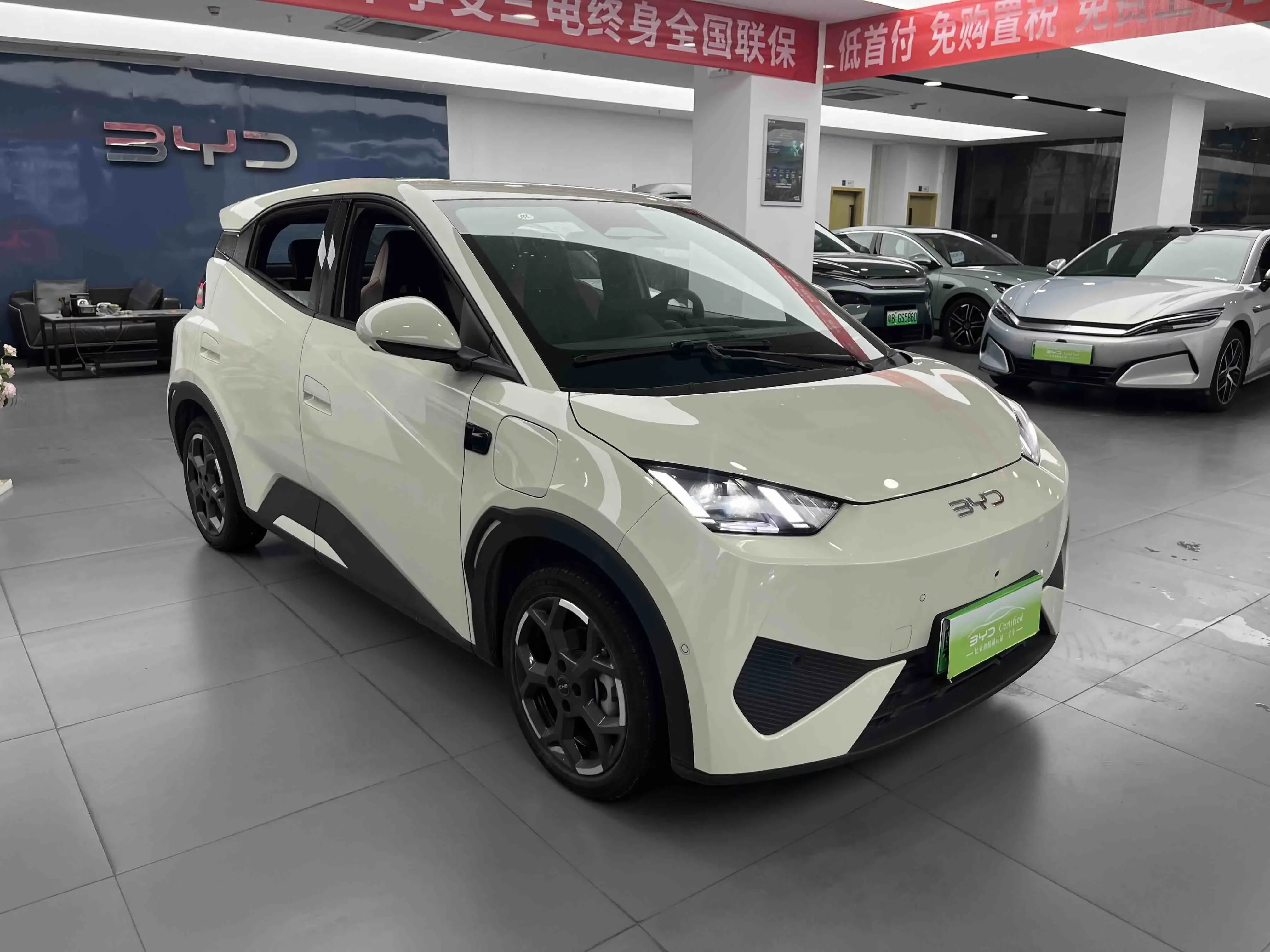 BYD seagull