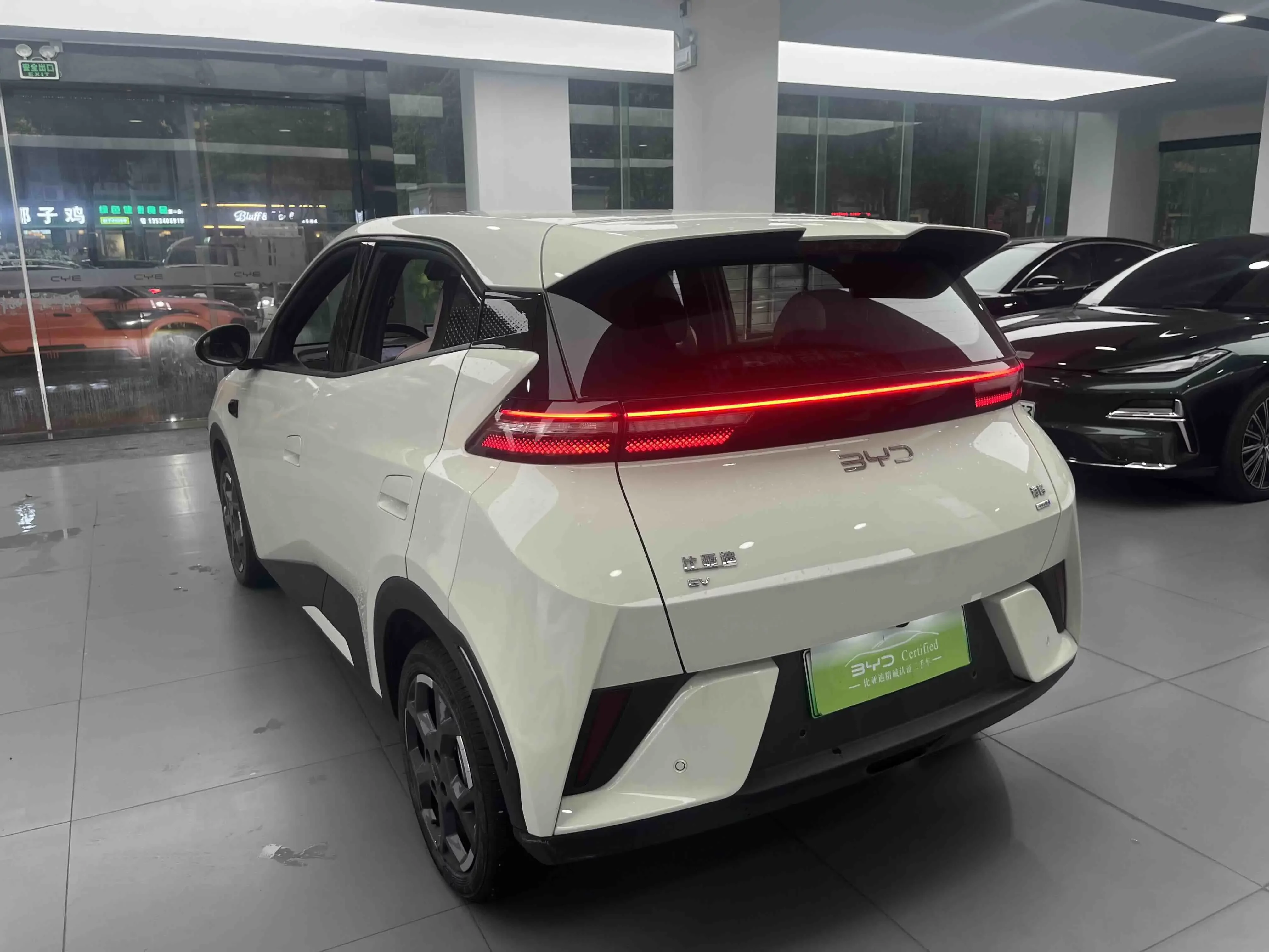 BYD seagull
