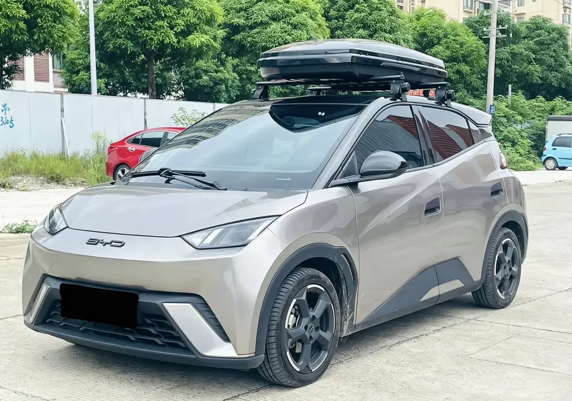 BYD seagull