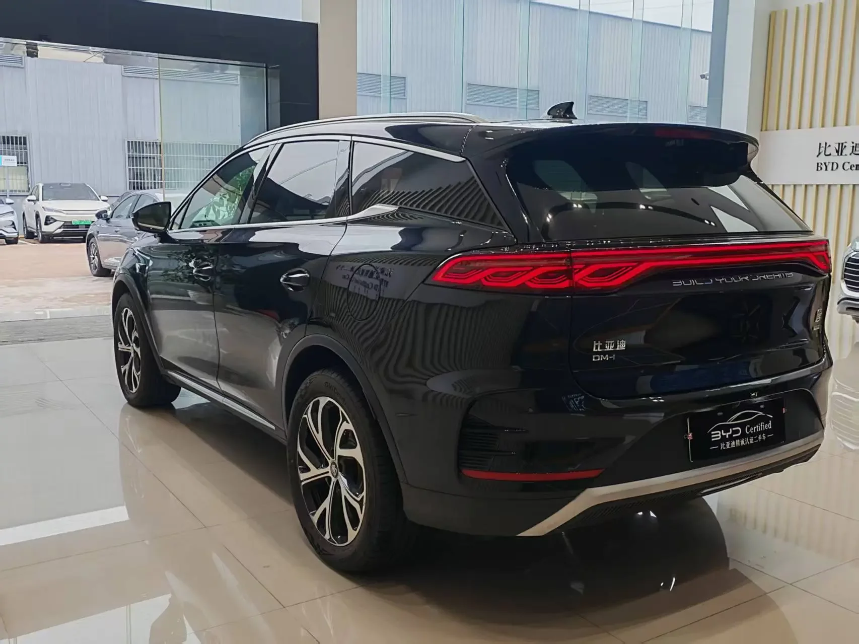 BYD Tang DM