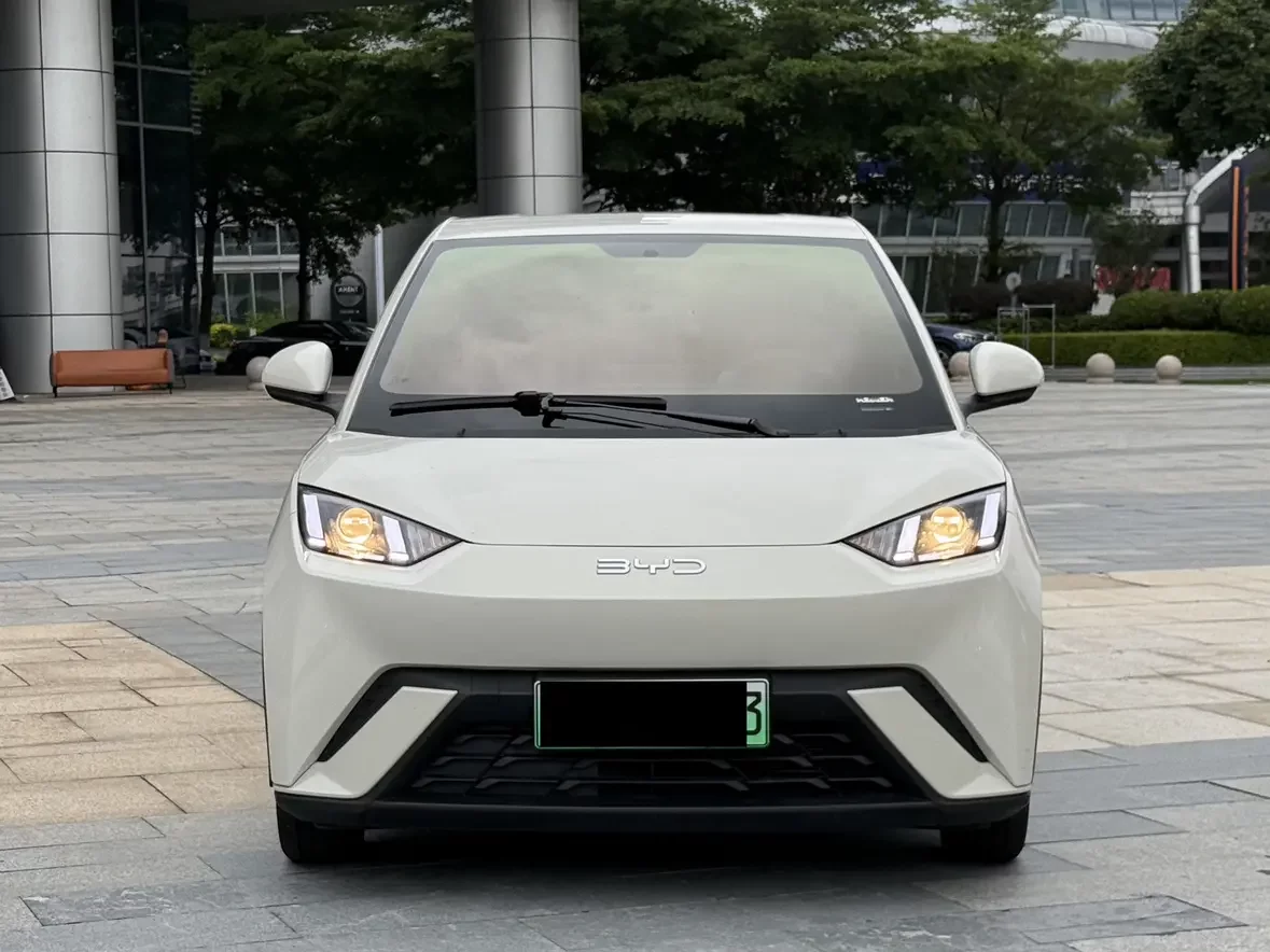 BYD seagull