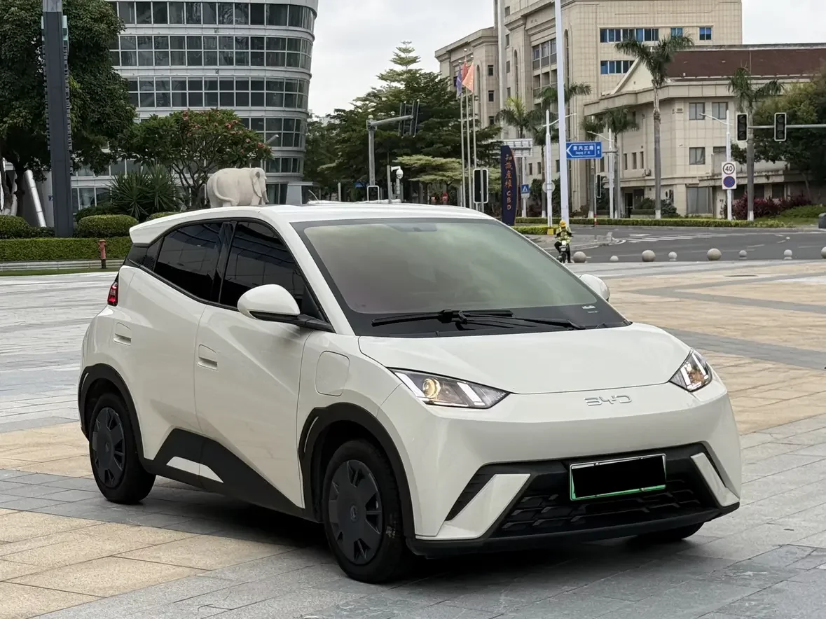 BYD seagull