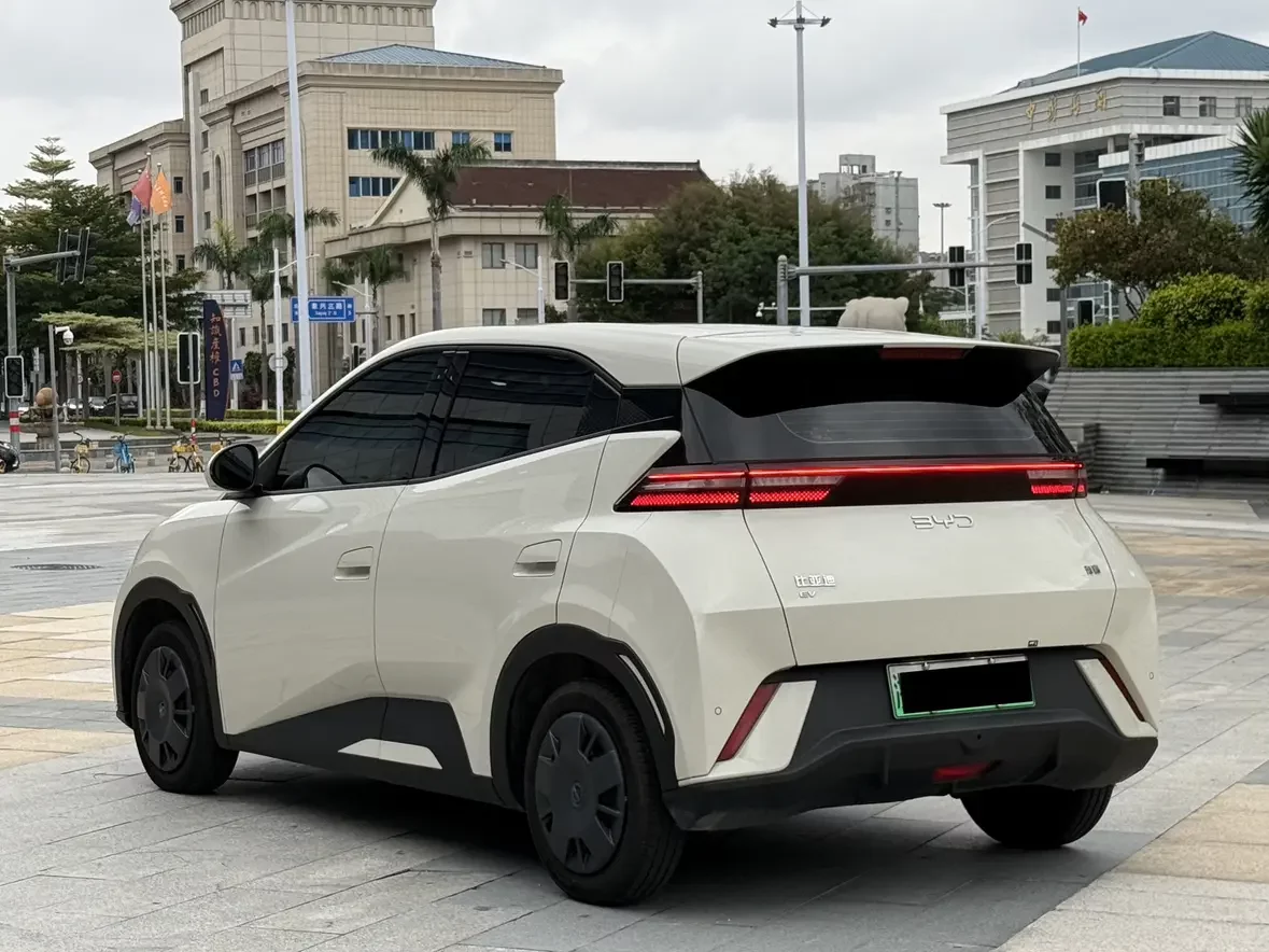 BYD seagull