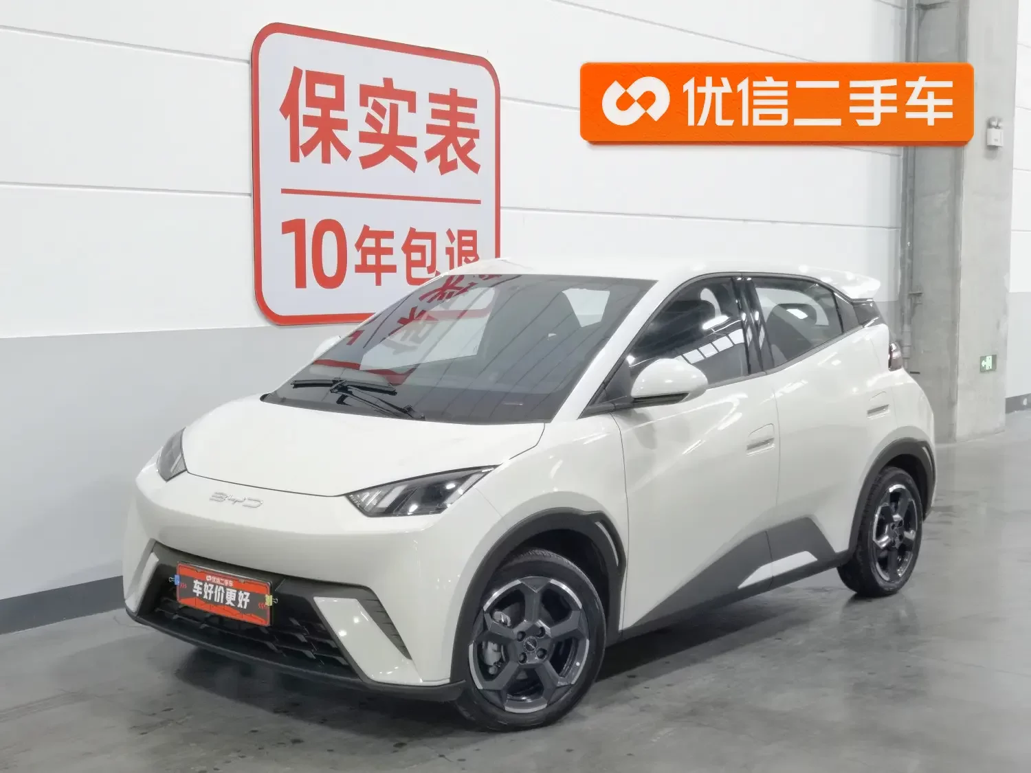 BYD seagull