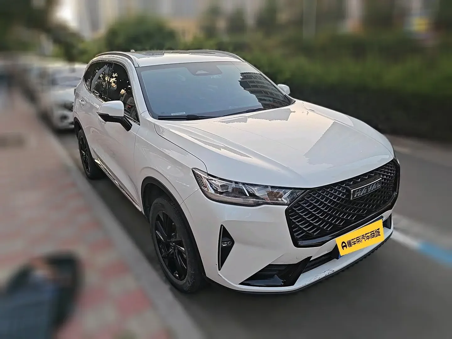 Haval H6
