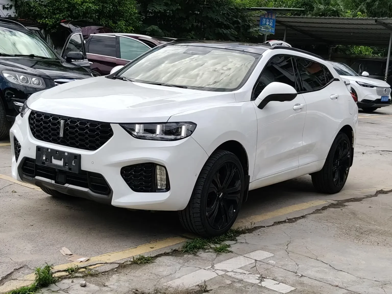 Wey Wei brand VV5