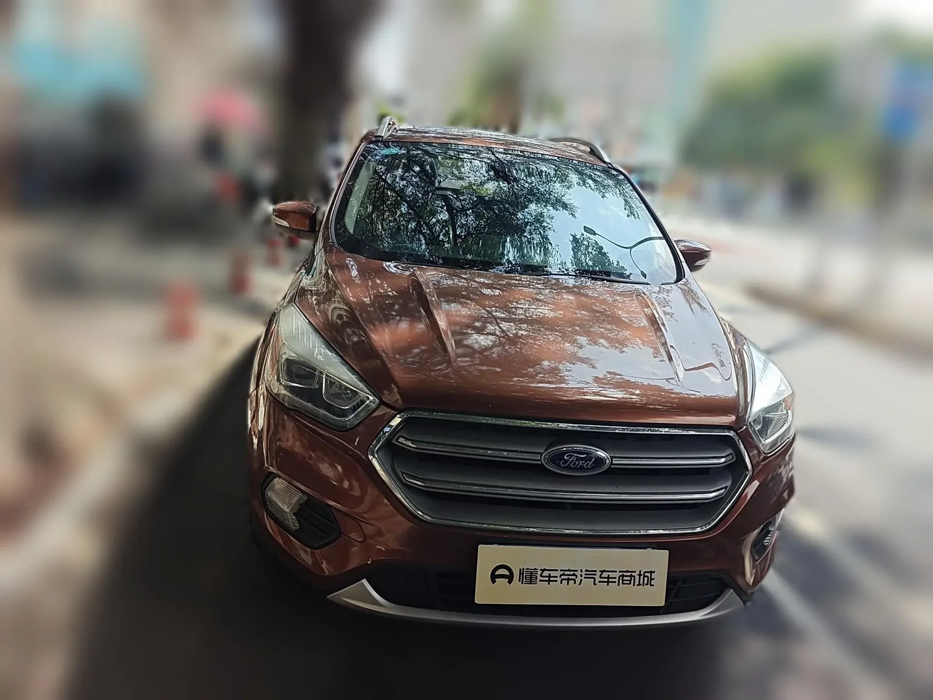 Ford wing tiger
