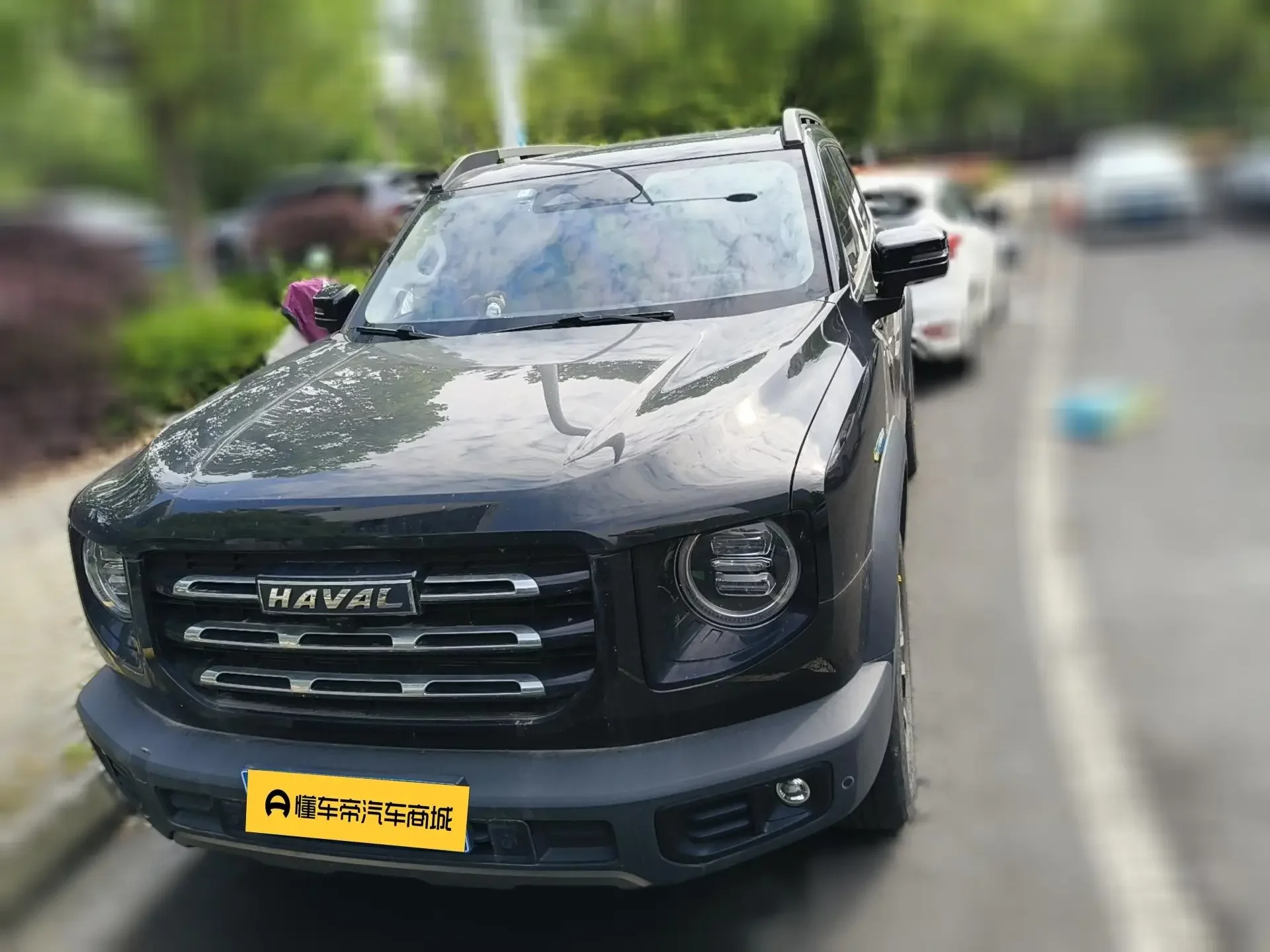 Haval Dargo