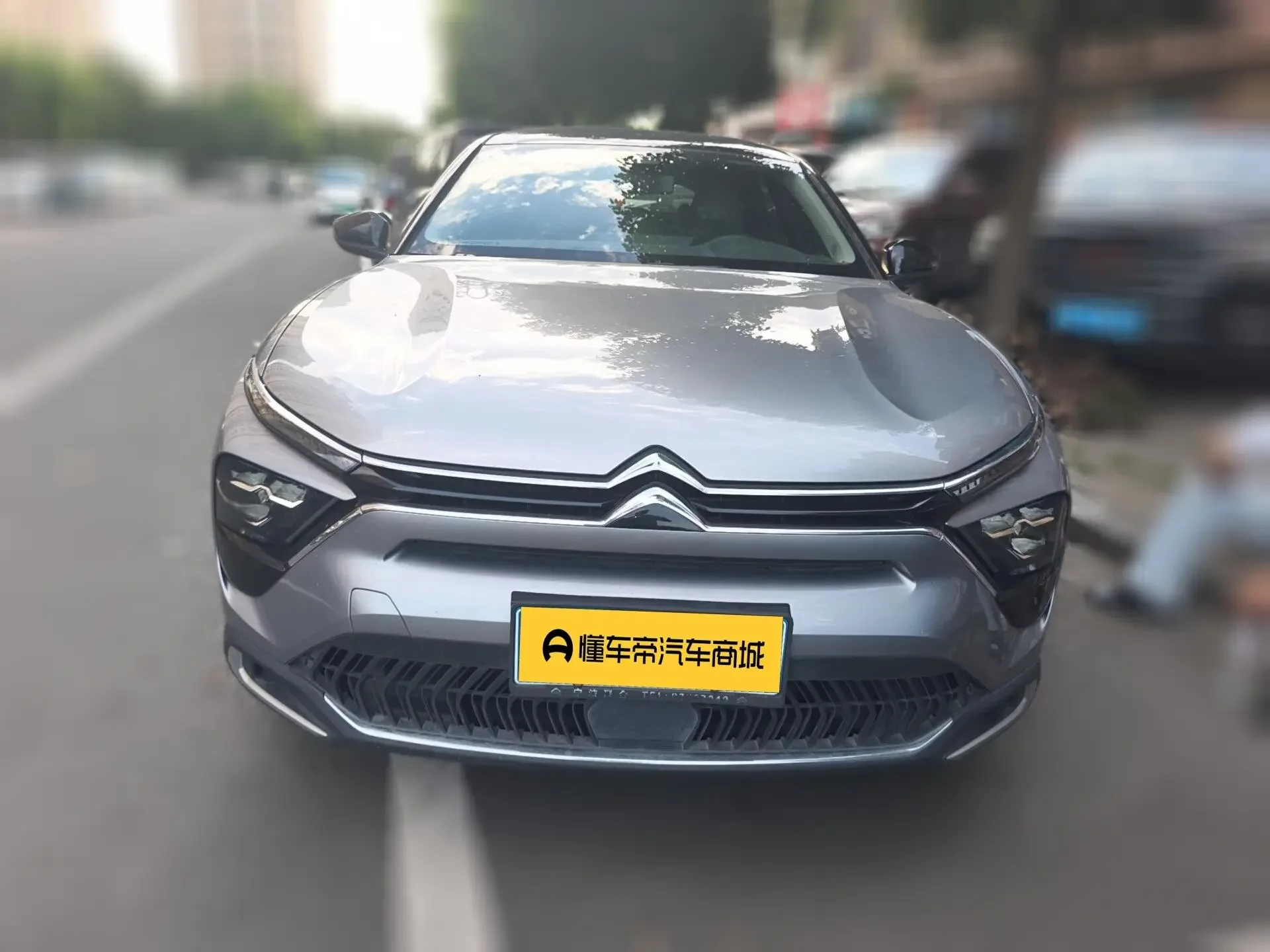 Citroën Versailles C5 X