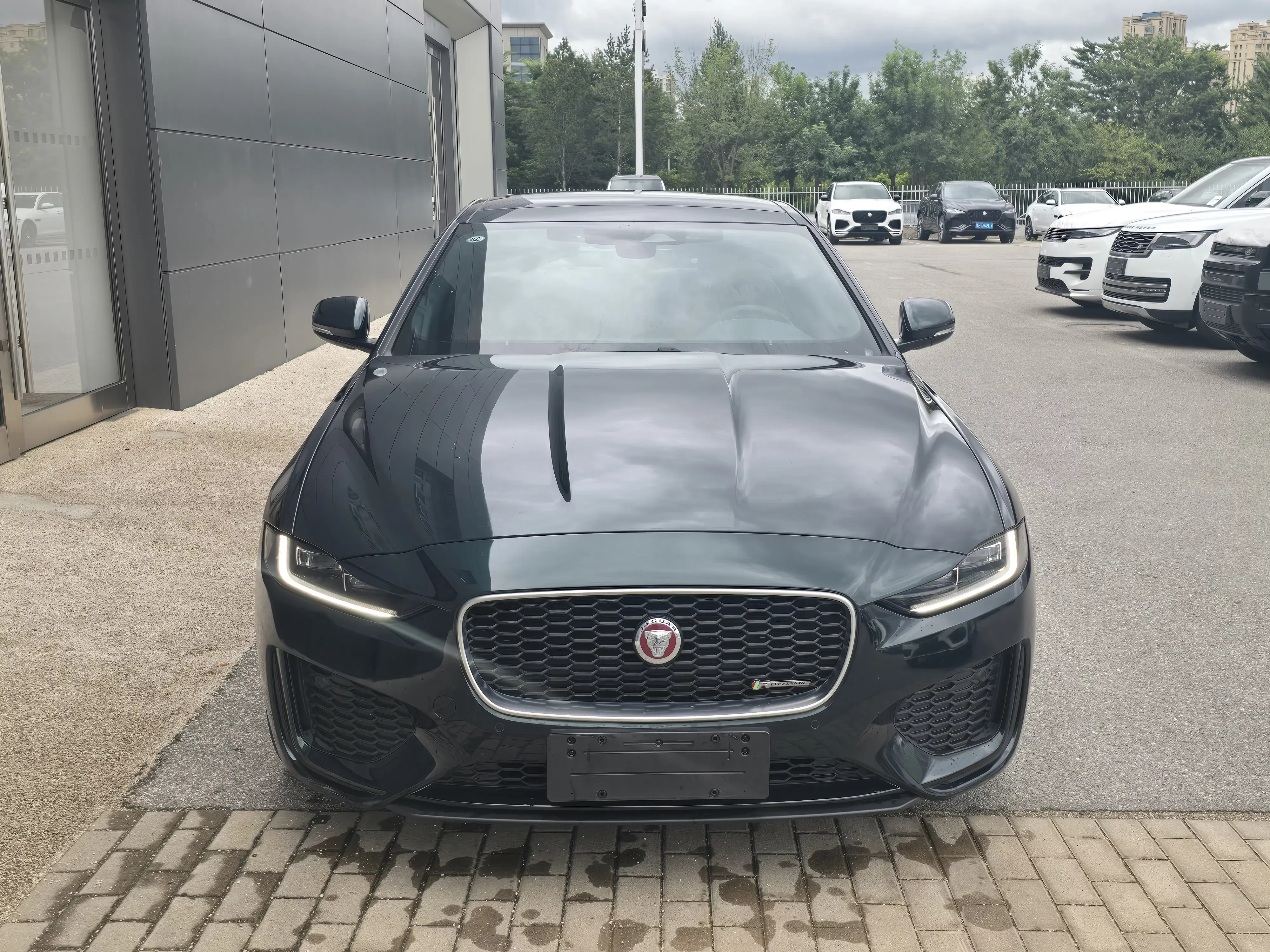 Jaguar XEL