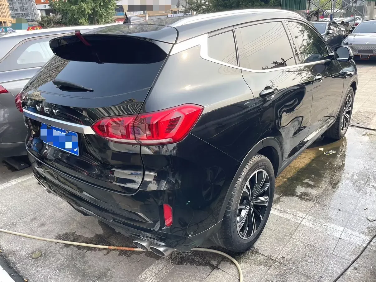Wey Wei brand VV6