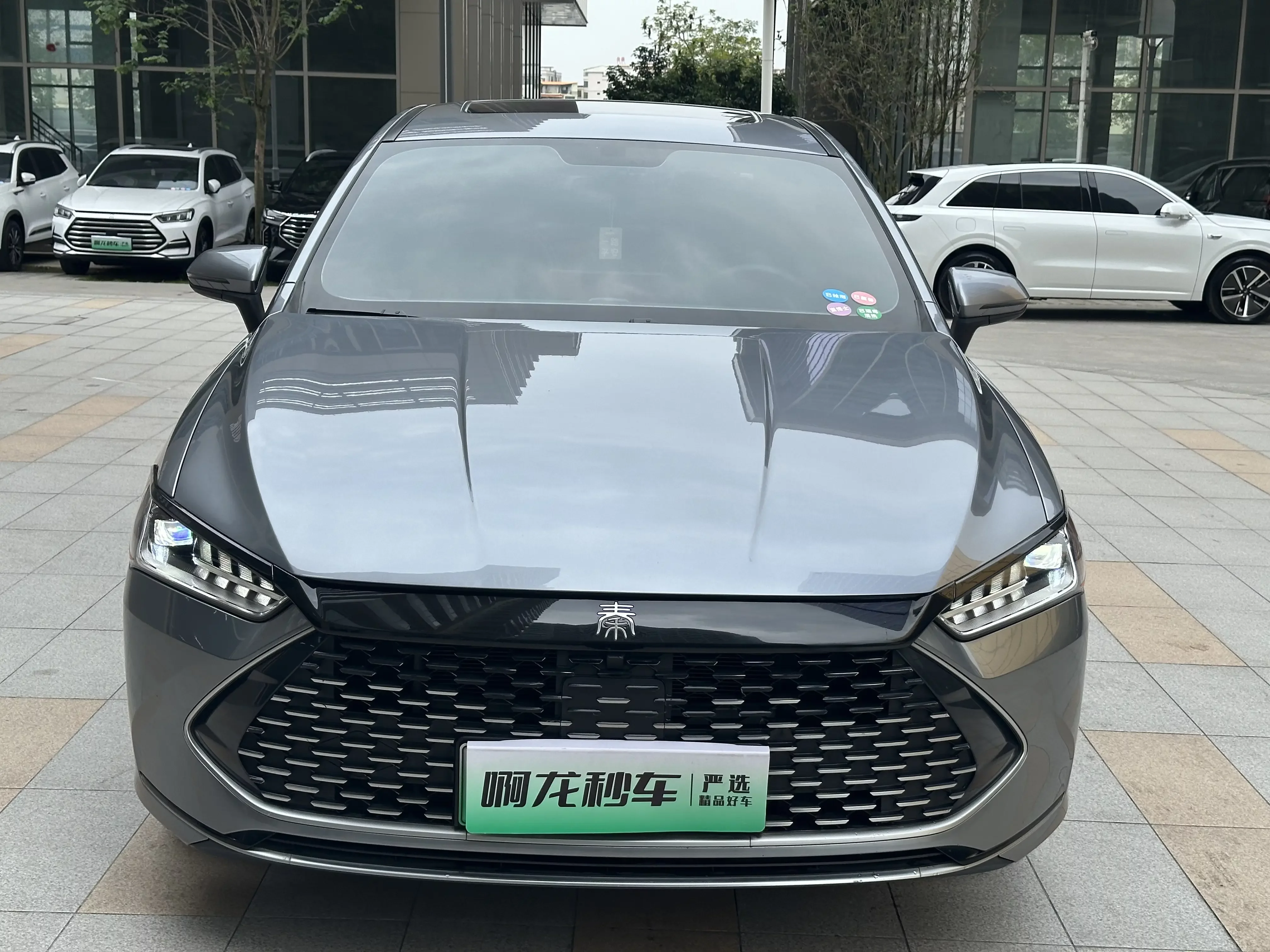 BYD Qin PLUS DM