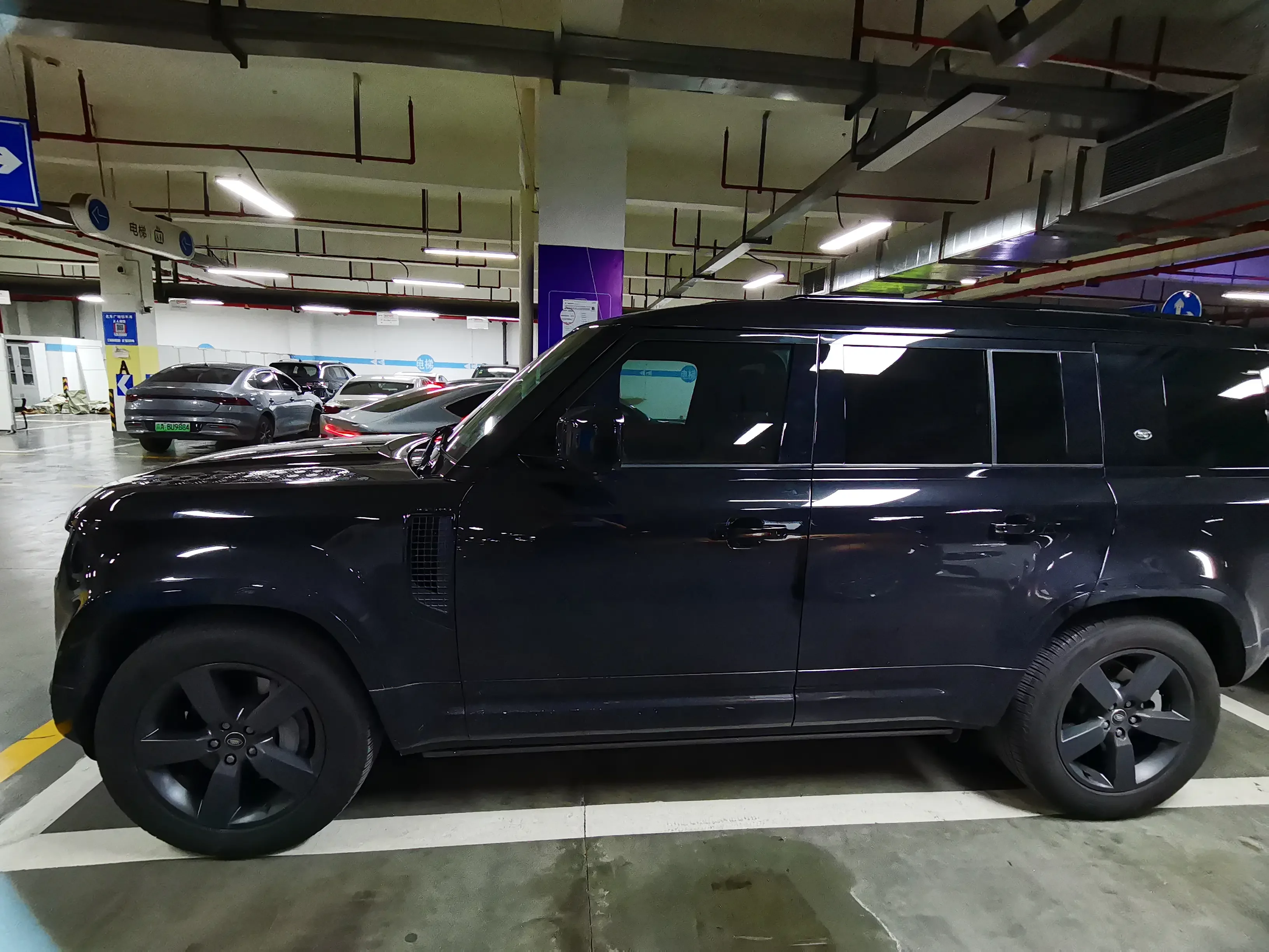 Land Rover guard