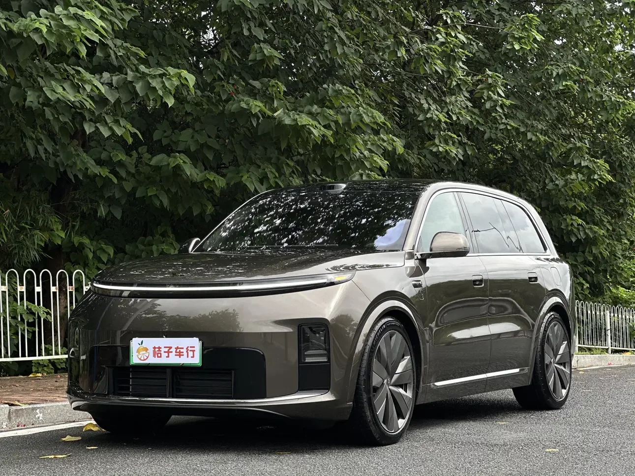 Lixiang L9