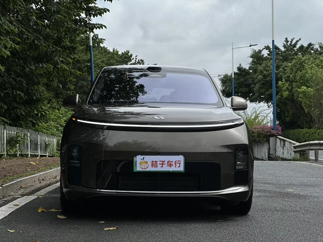 Lixiang L9