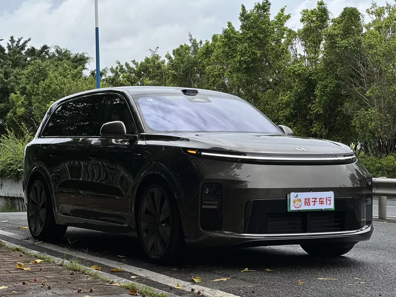 Lixiang L9