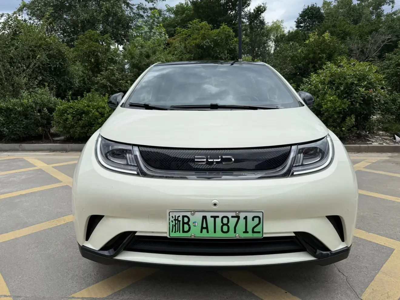 BYD dolphin