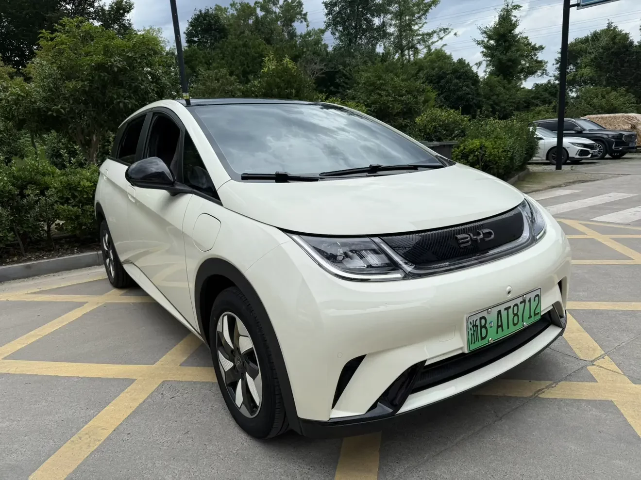 BYD dolphin