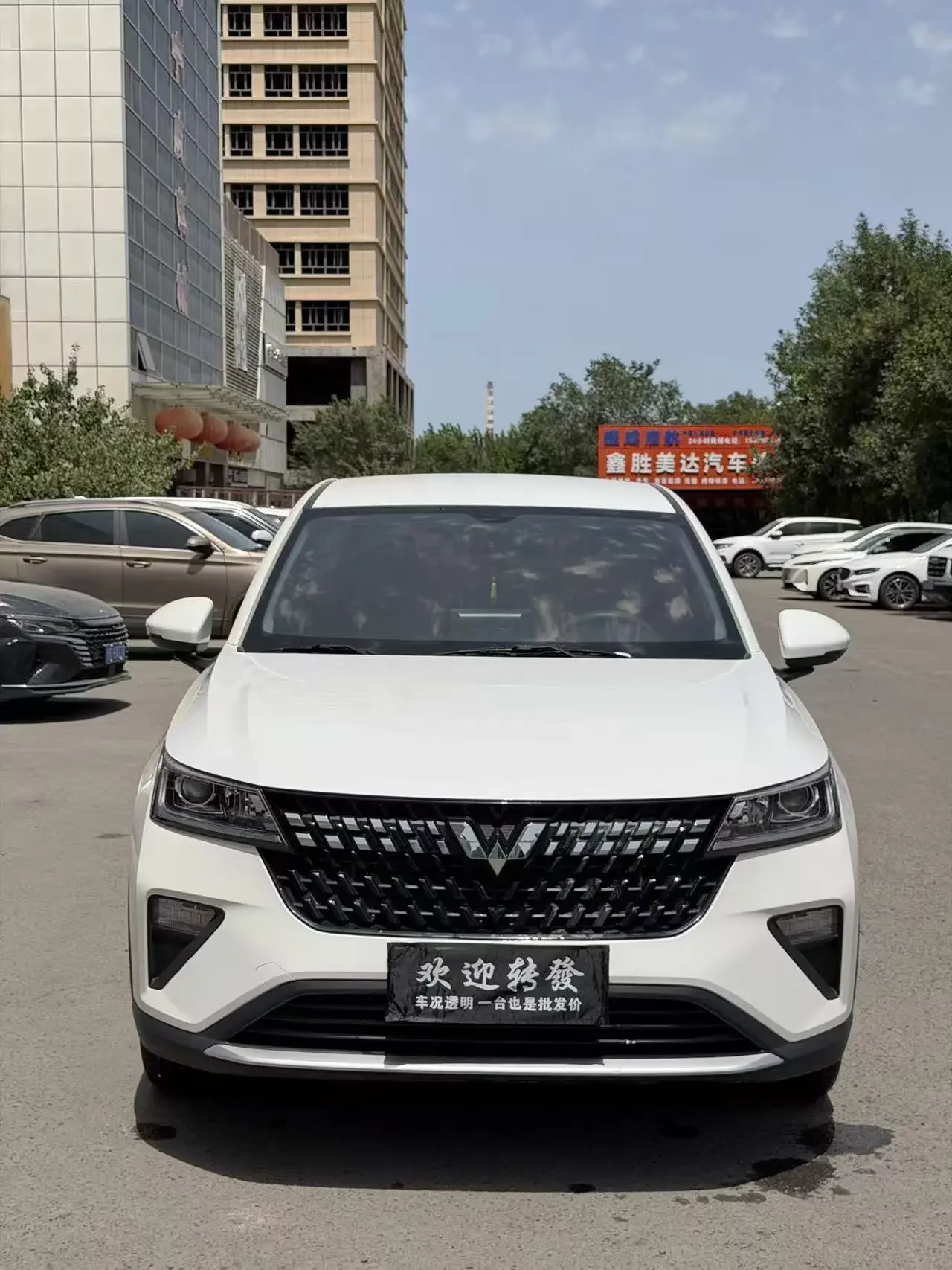 Wuling Xingchi