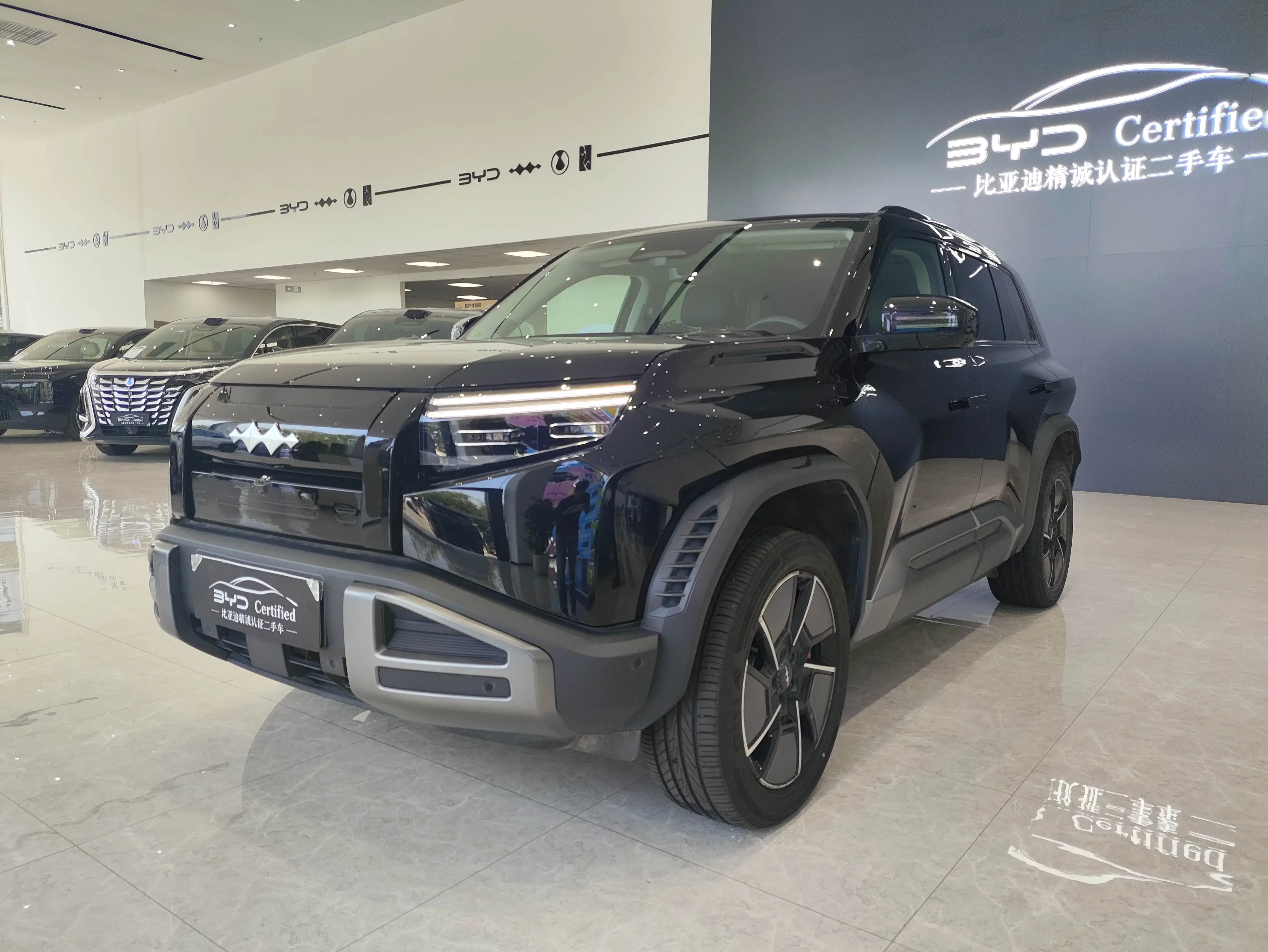 BYD Leopard Titanium 3