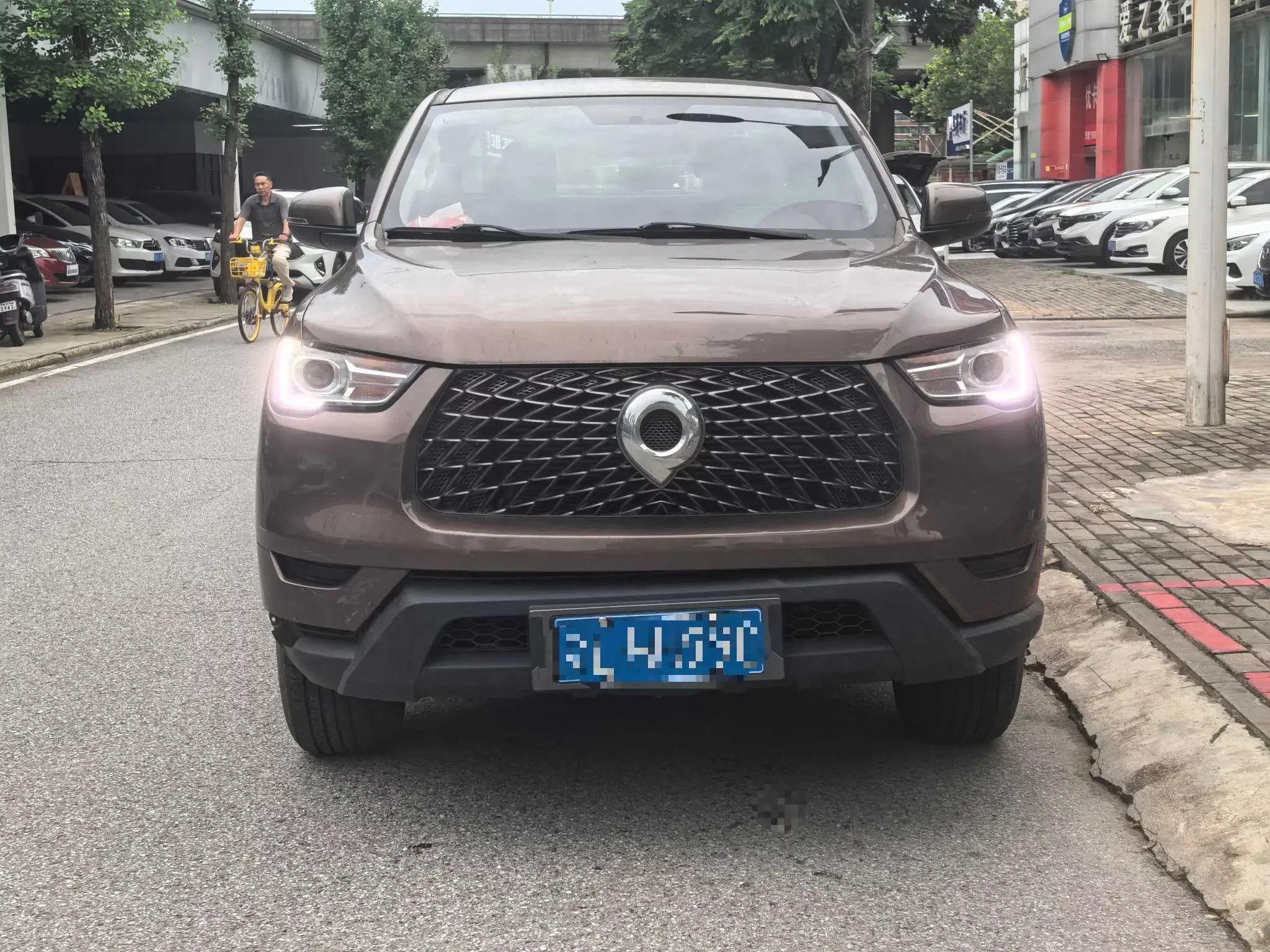 Great Wall Poer (gun)  из Китая