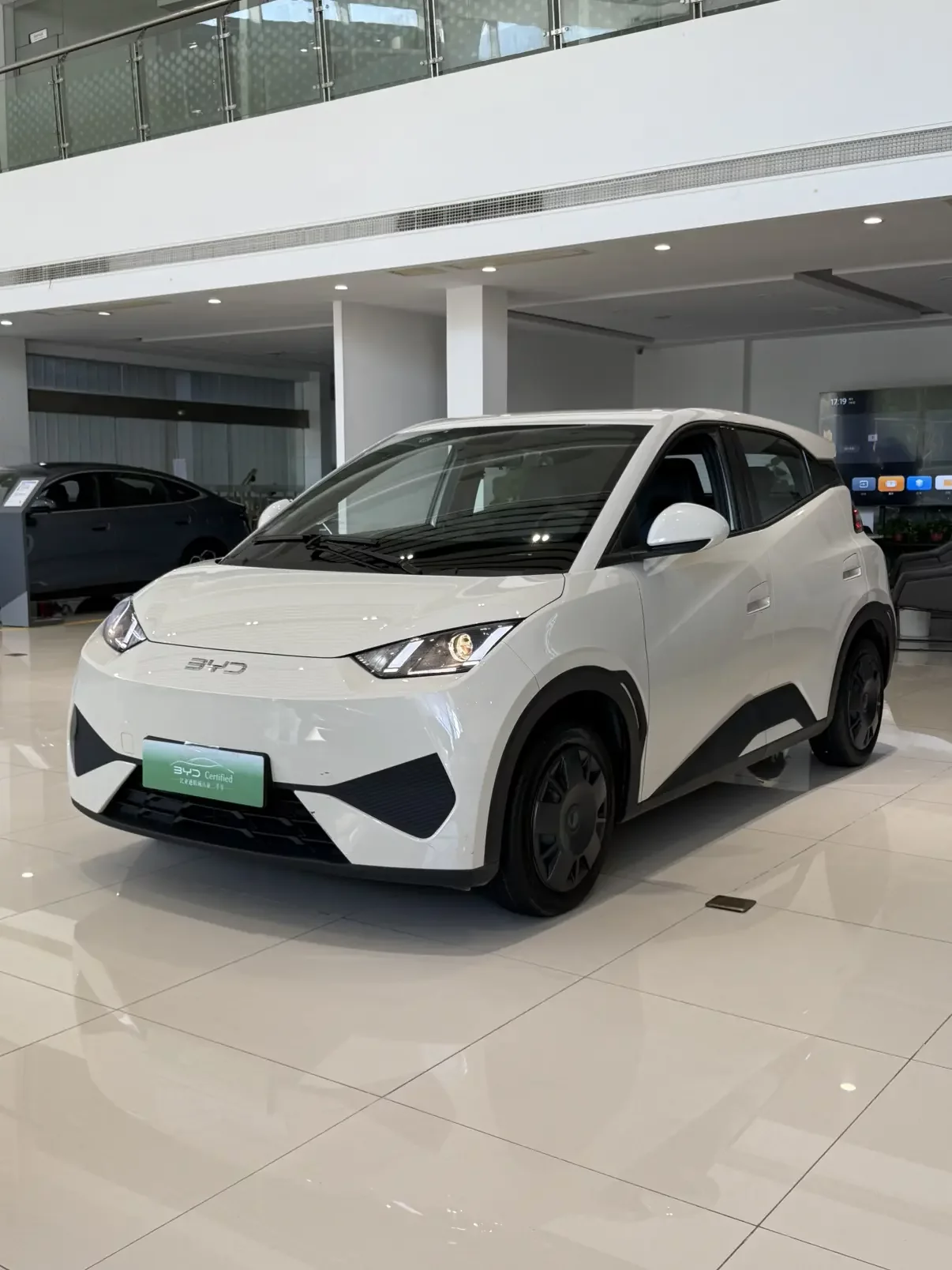 BYD seagull  из Китая
