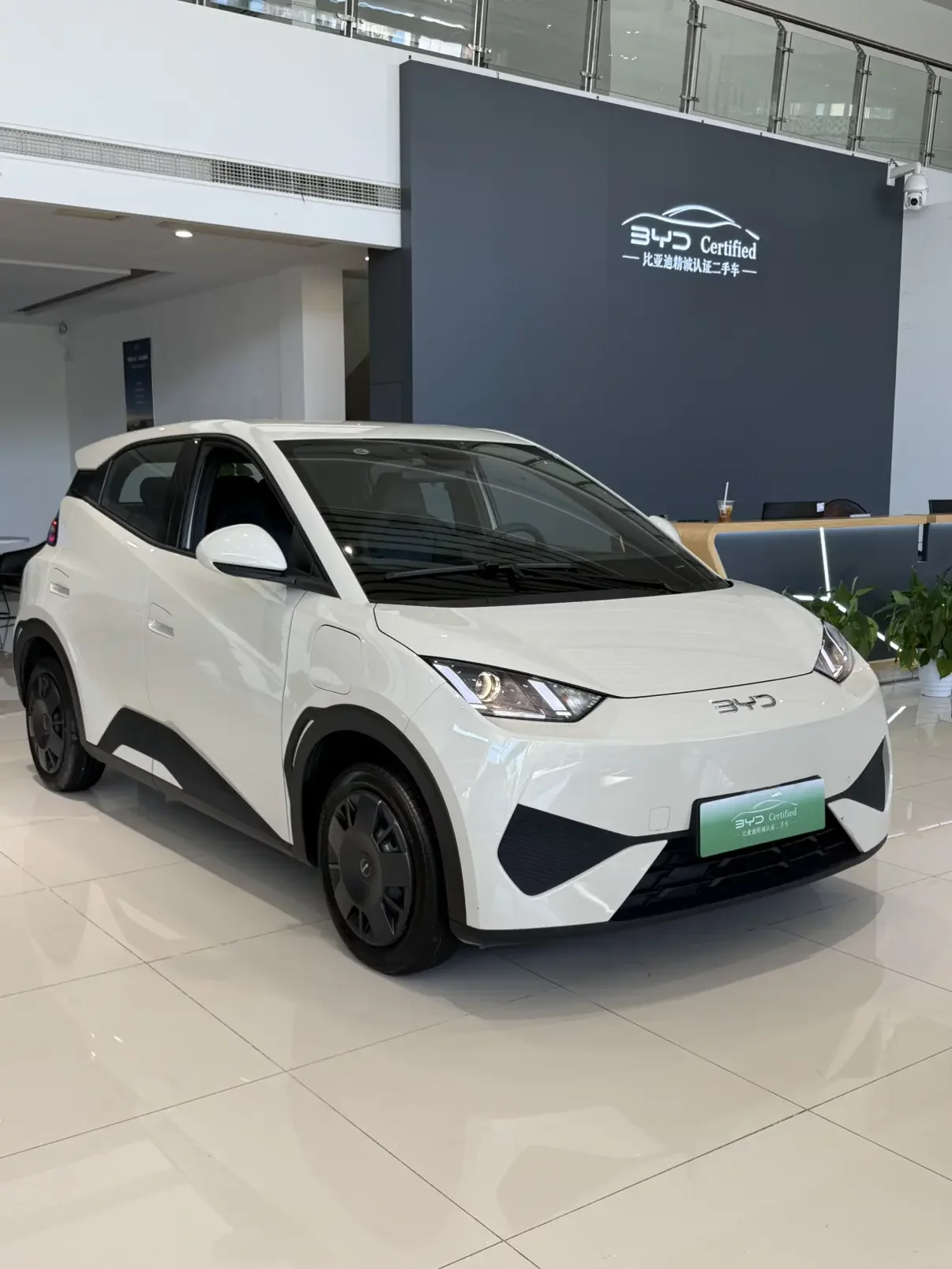 BYD seagull  из Китая