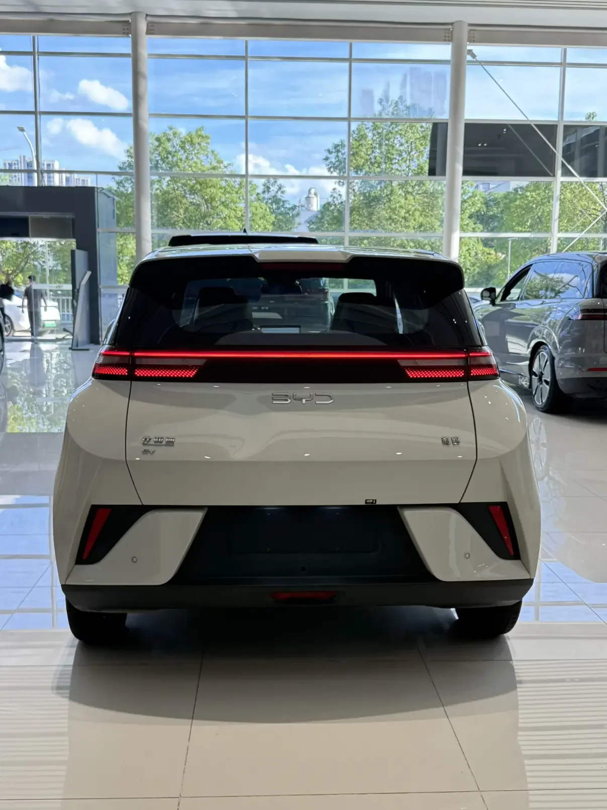 BYD seagull