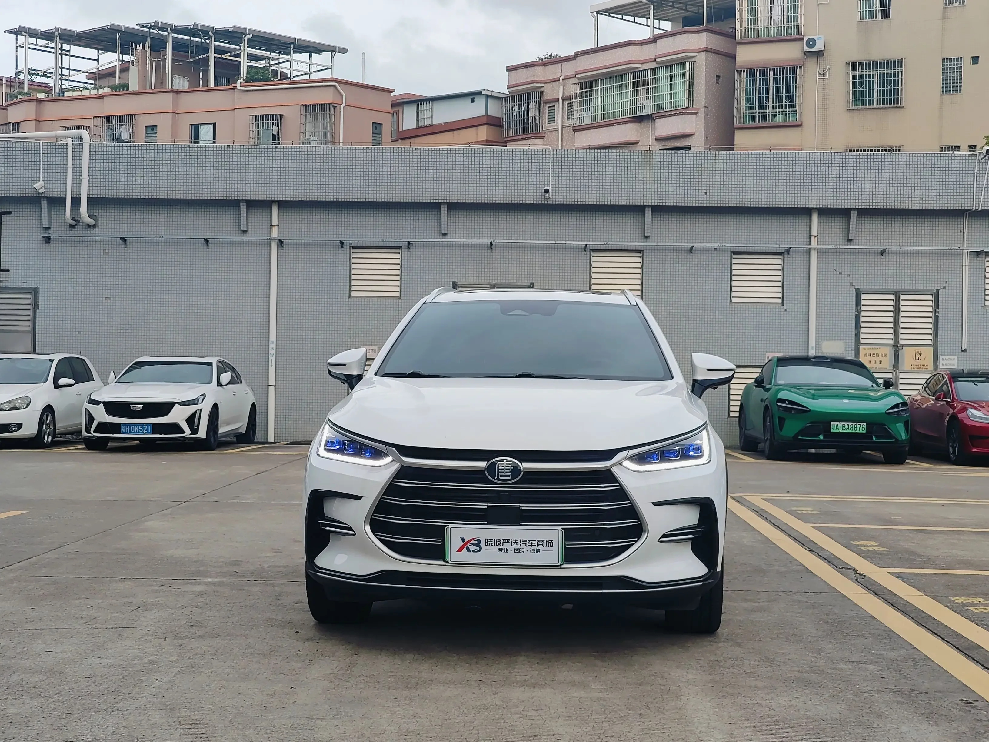 BYD Tang DM