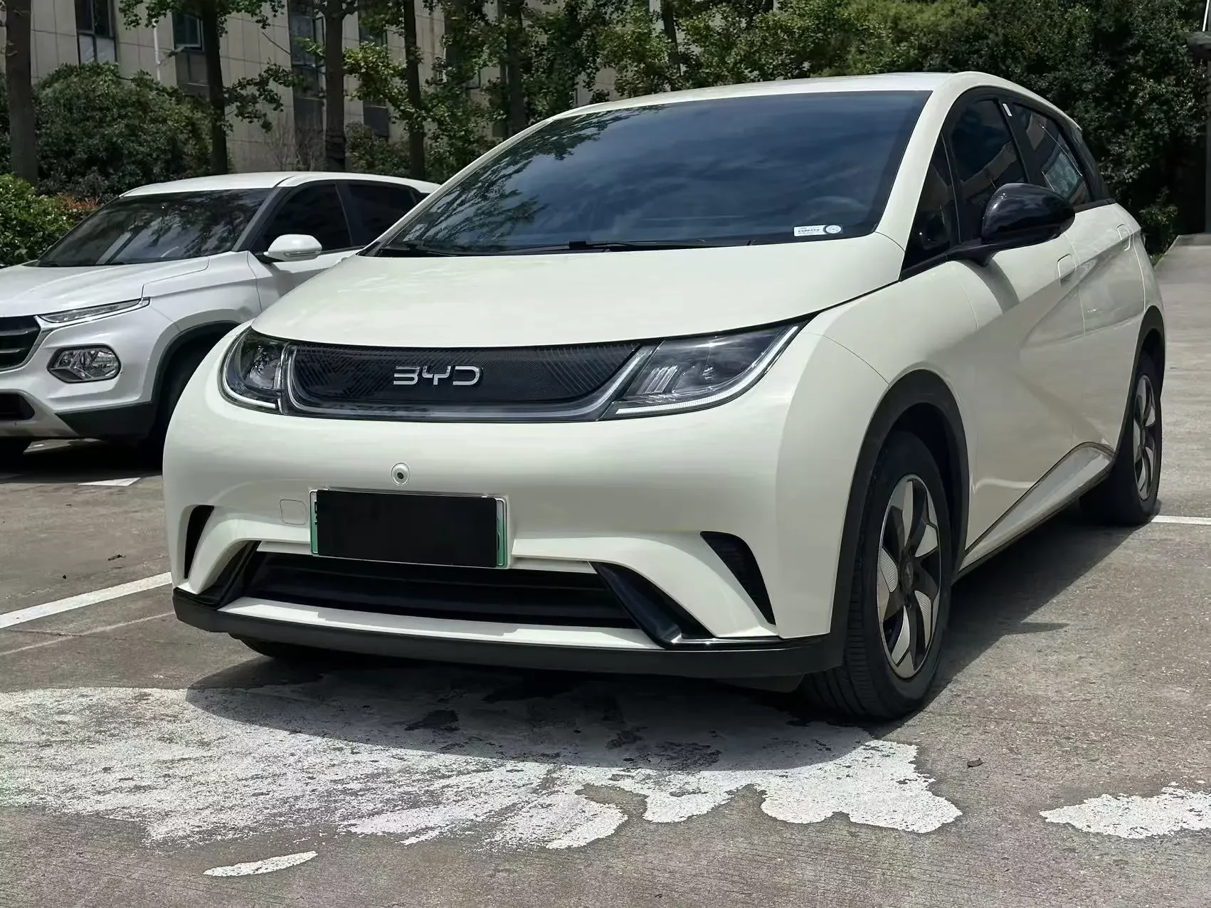 BYD dolphin