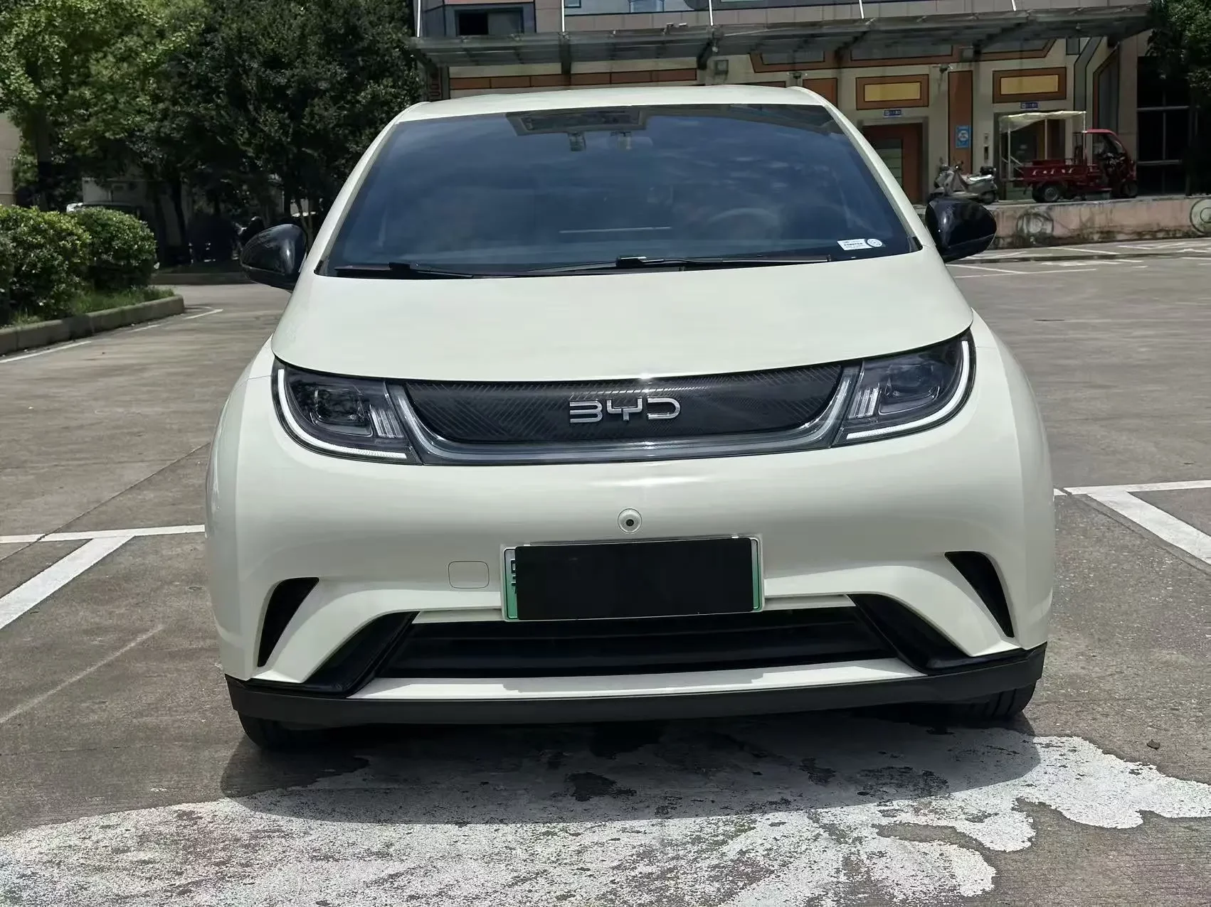 BYD dolphin