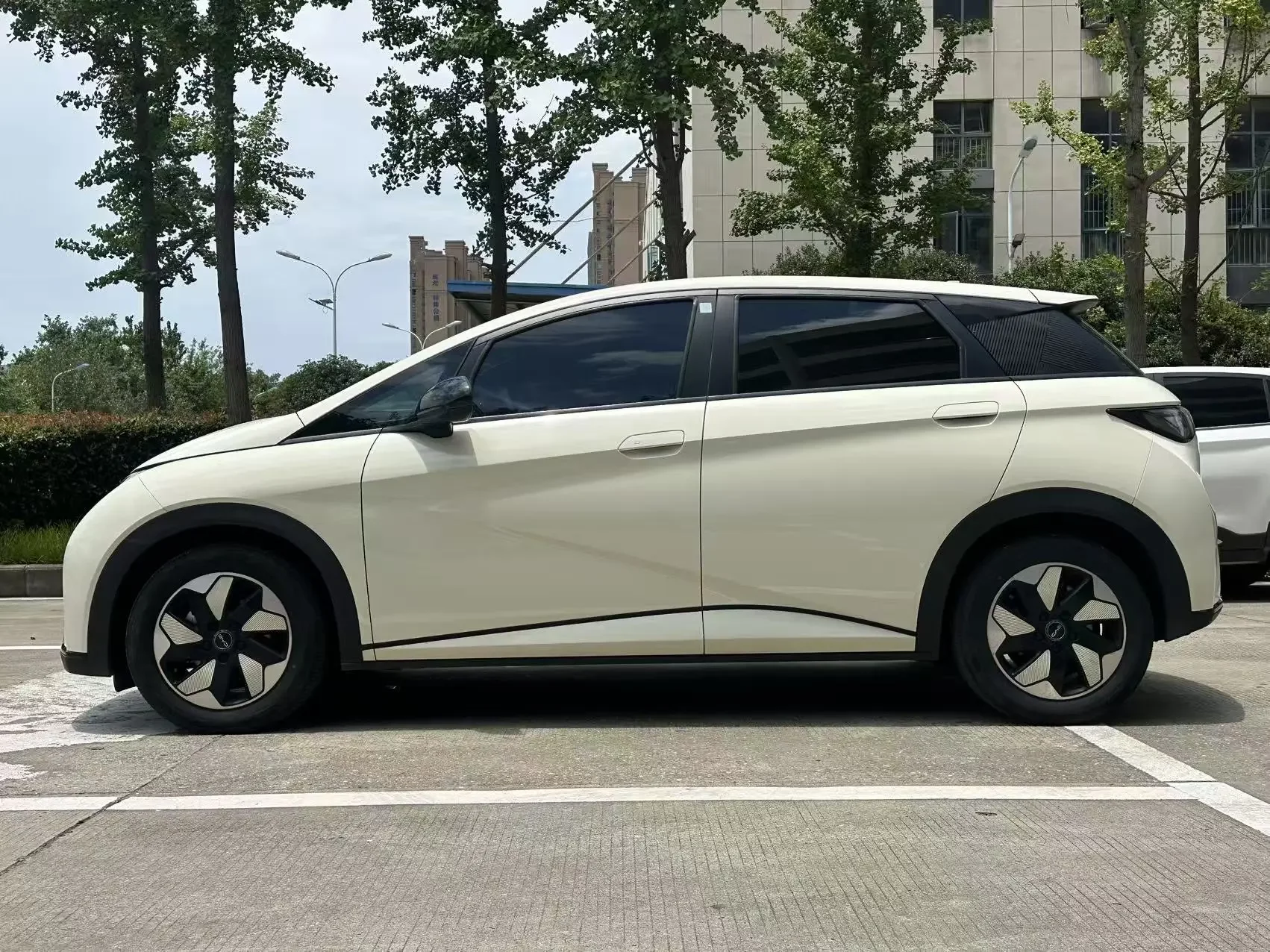 BYD dolphin