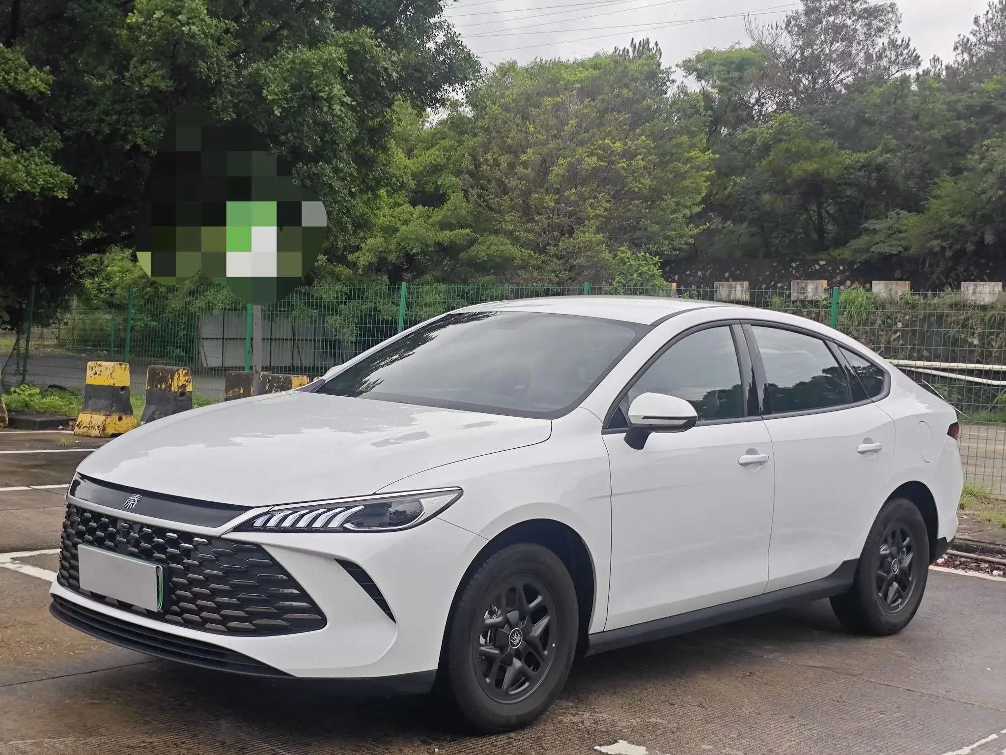 BYD Qin PLUS DM