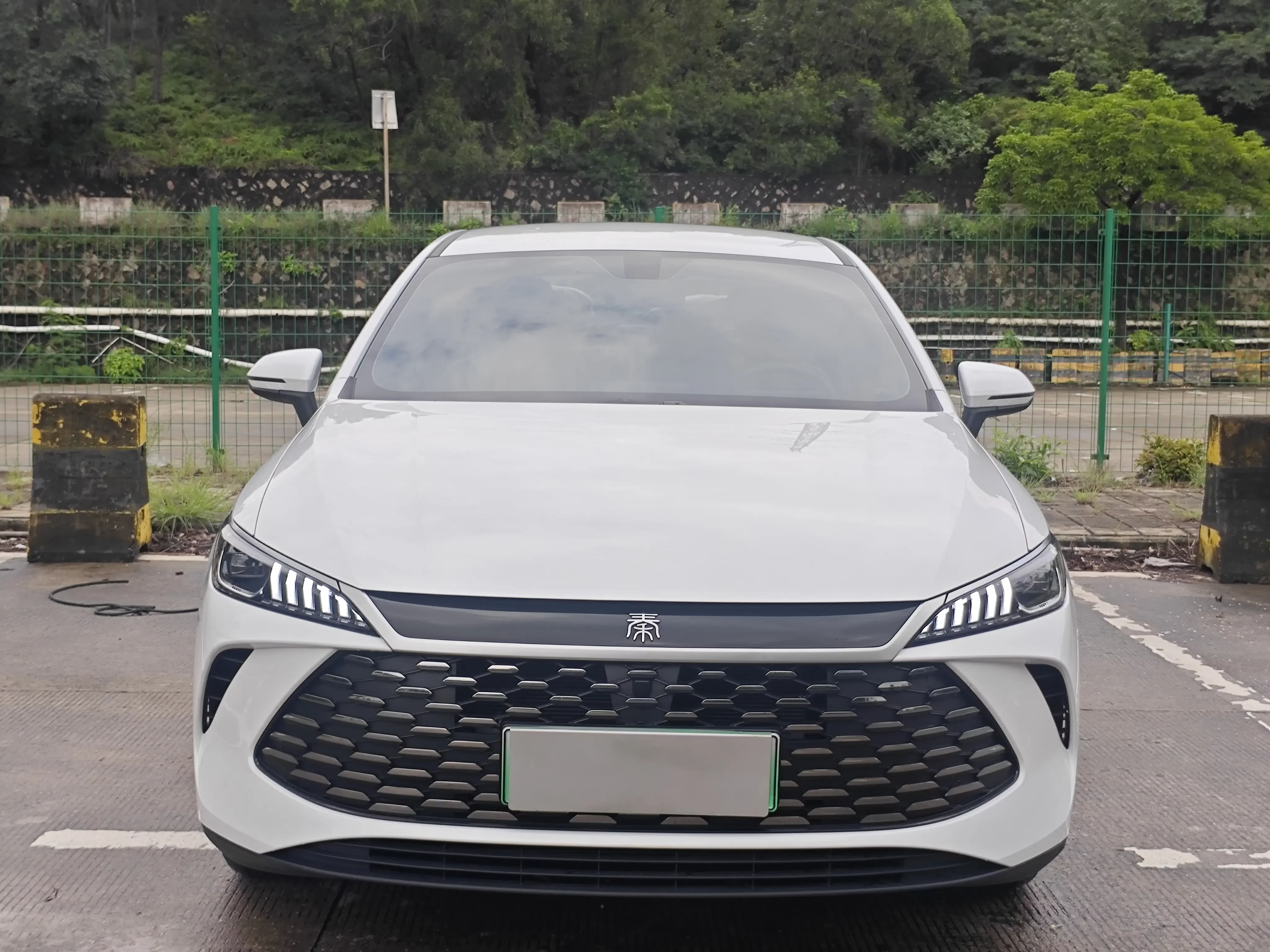 BYD Qin PLUS DM
