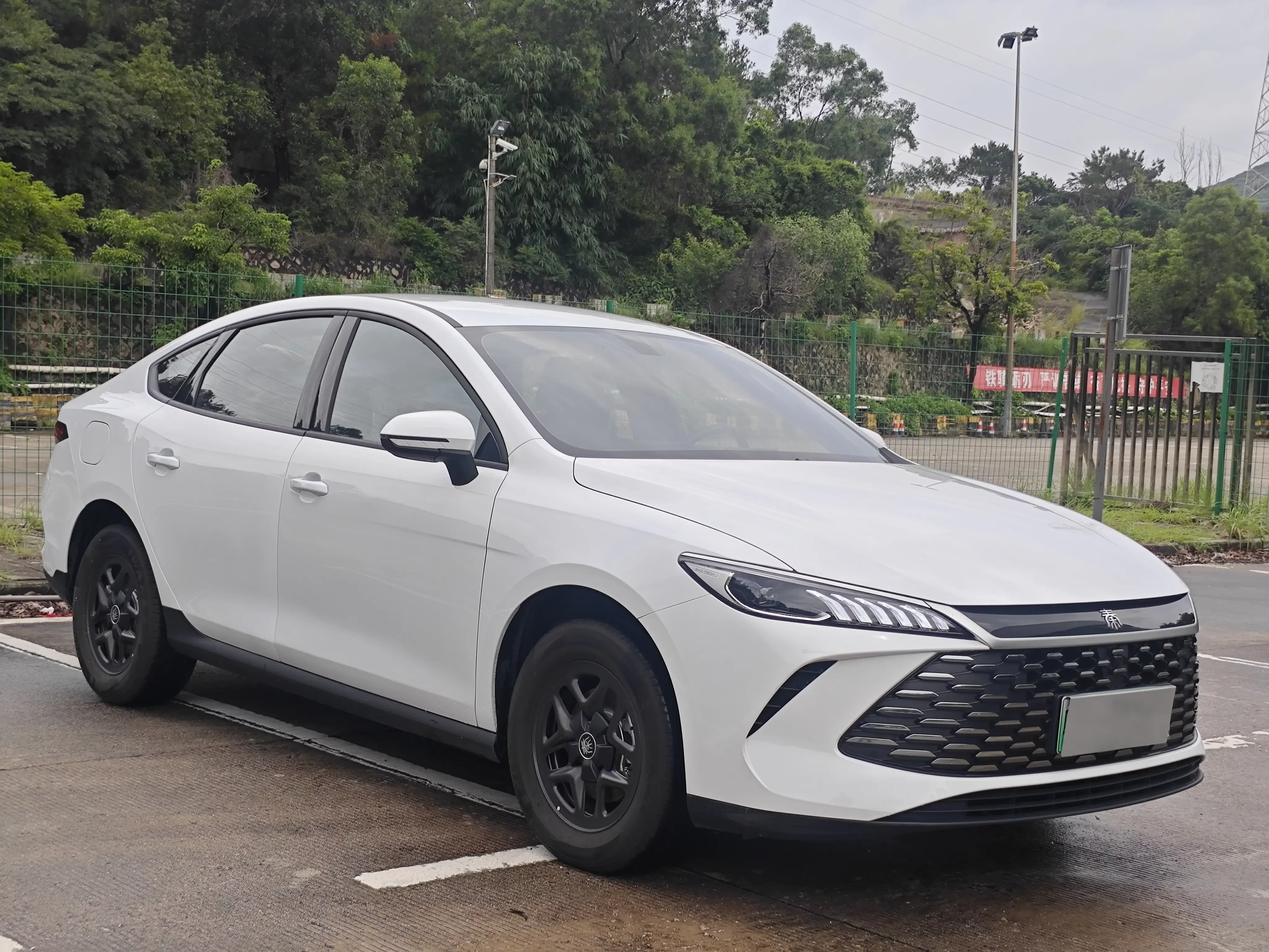 BYD Qin PLUS DM