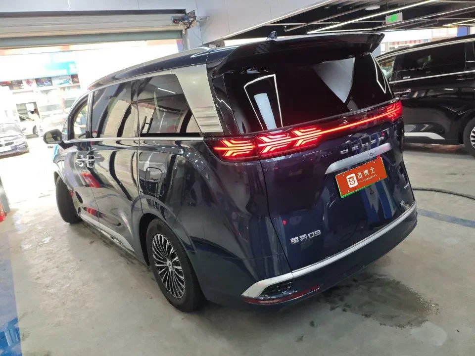 Denza D9 DM
