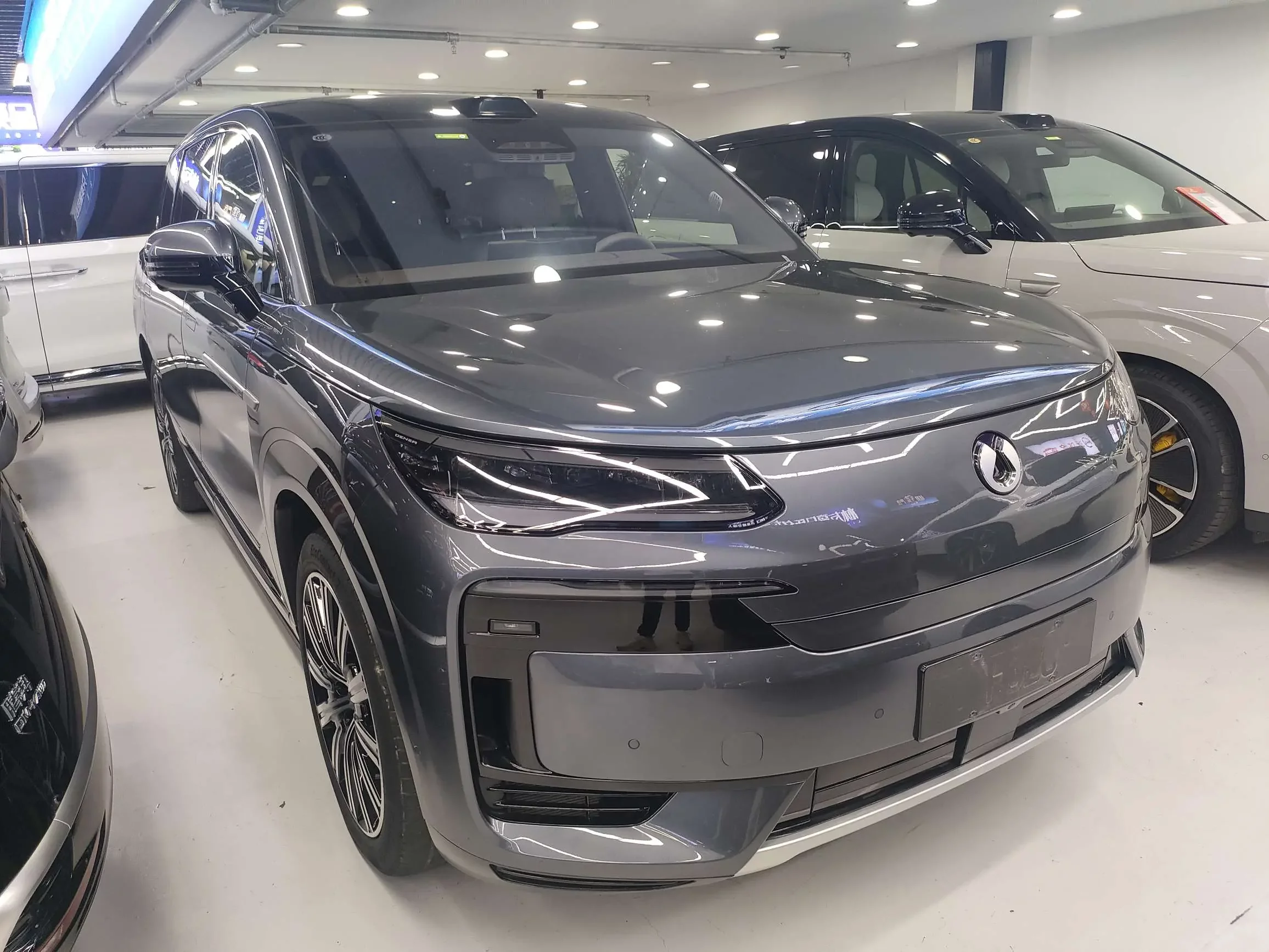 Denza Tengzhong N9 DM