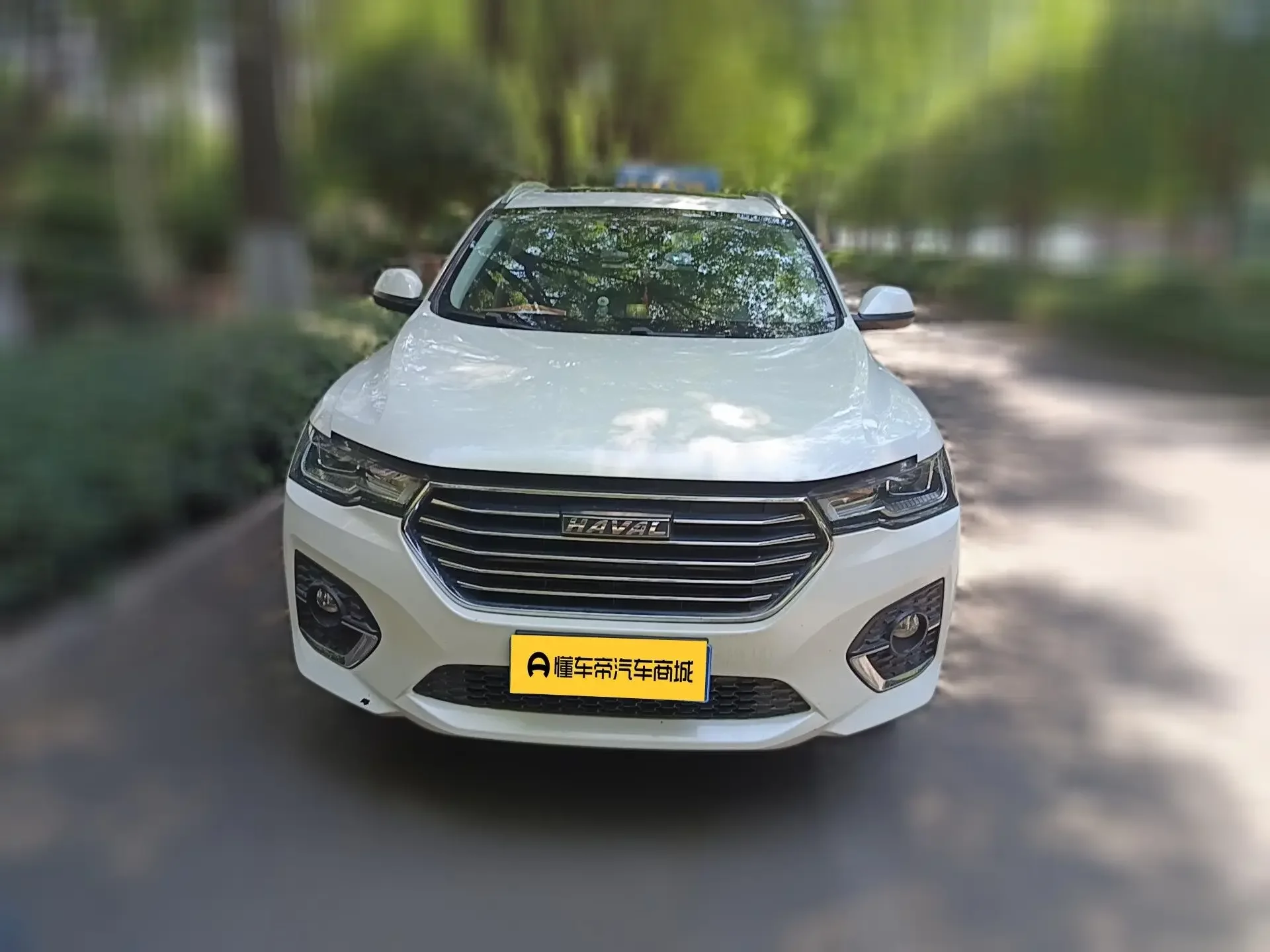 Haval H4
