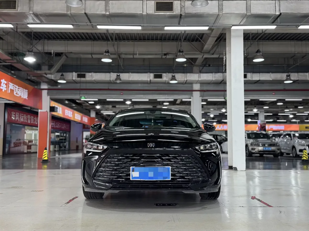 Buick Majesty