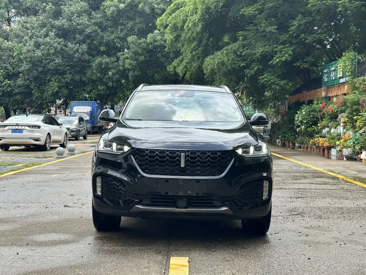 Wey Wei brand VV6