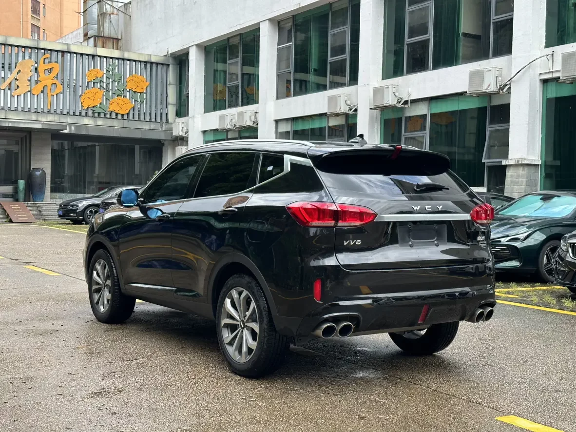 Wey Wei brand VV6