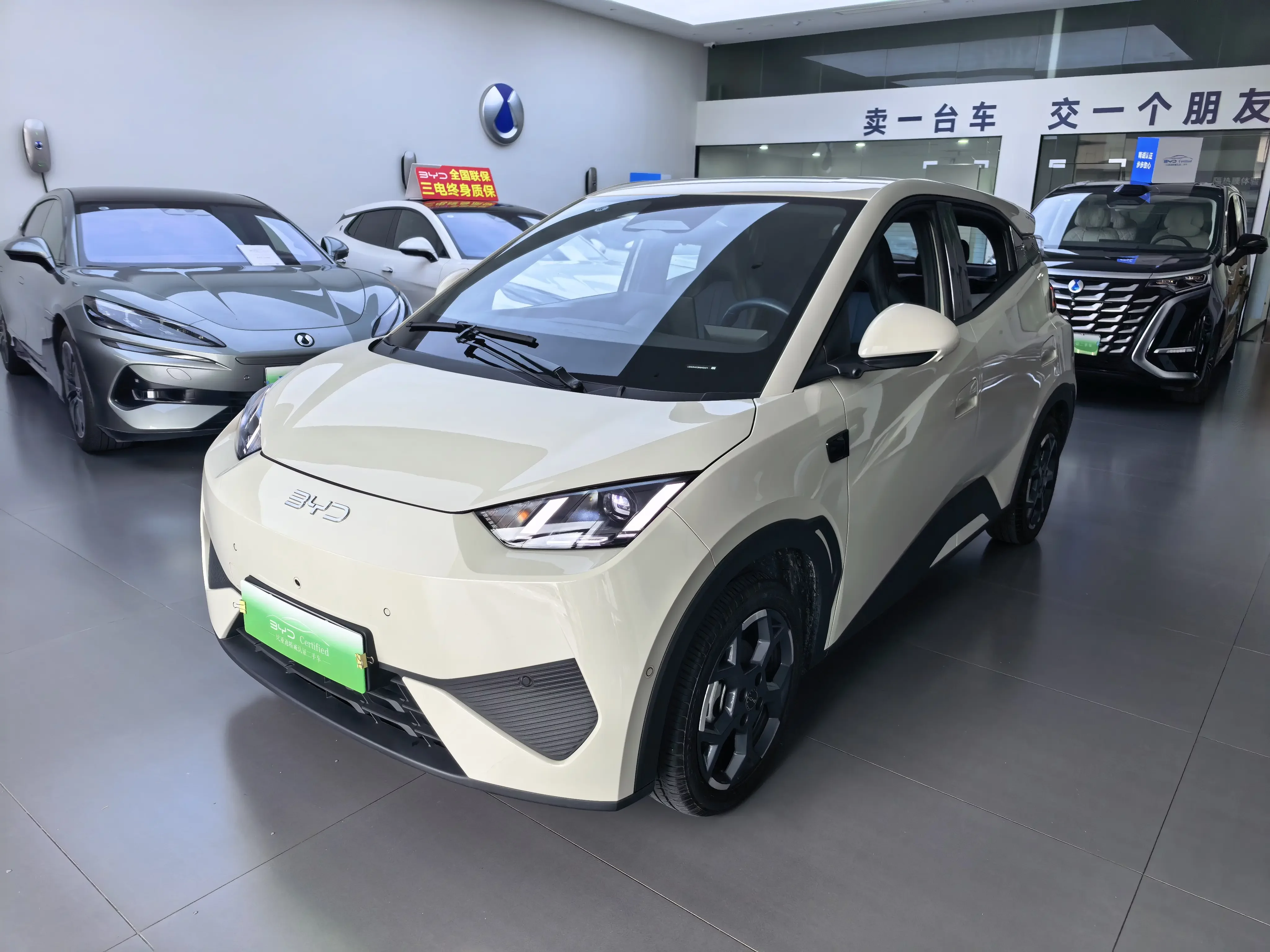 BYD seagull