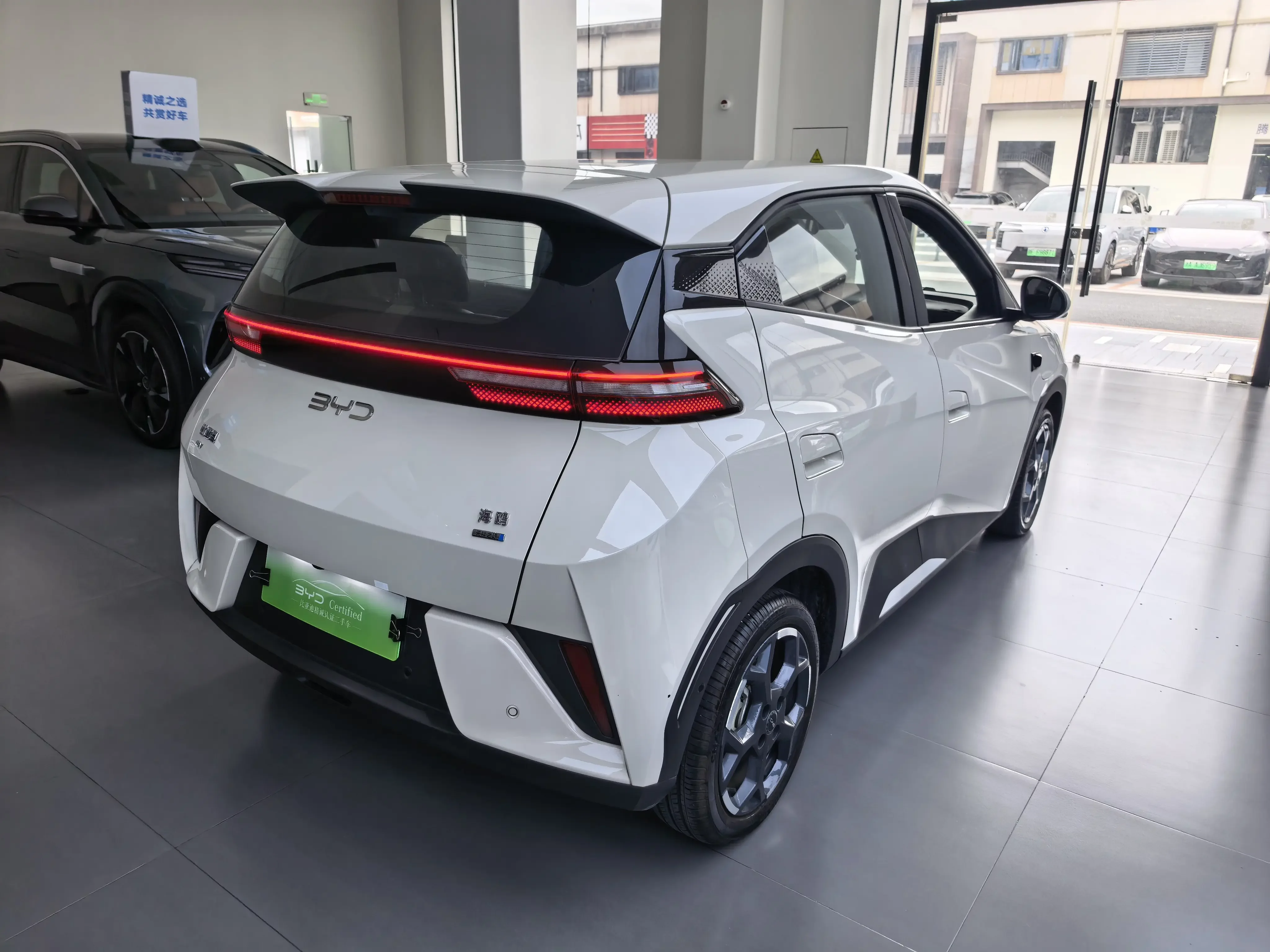 BYD seagull