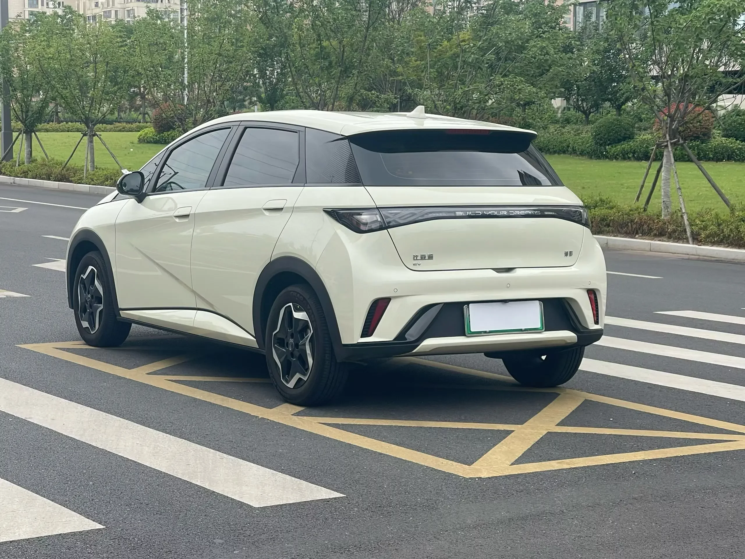 BYD dolphin