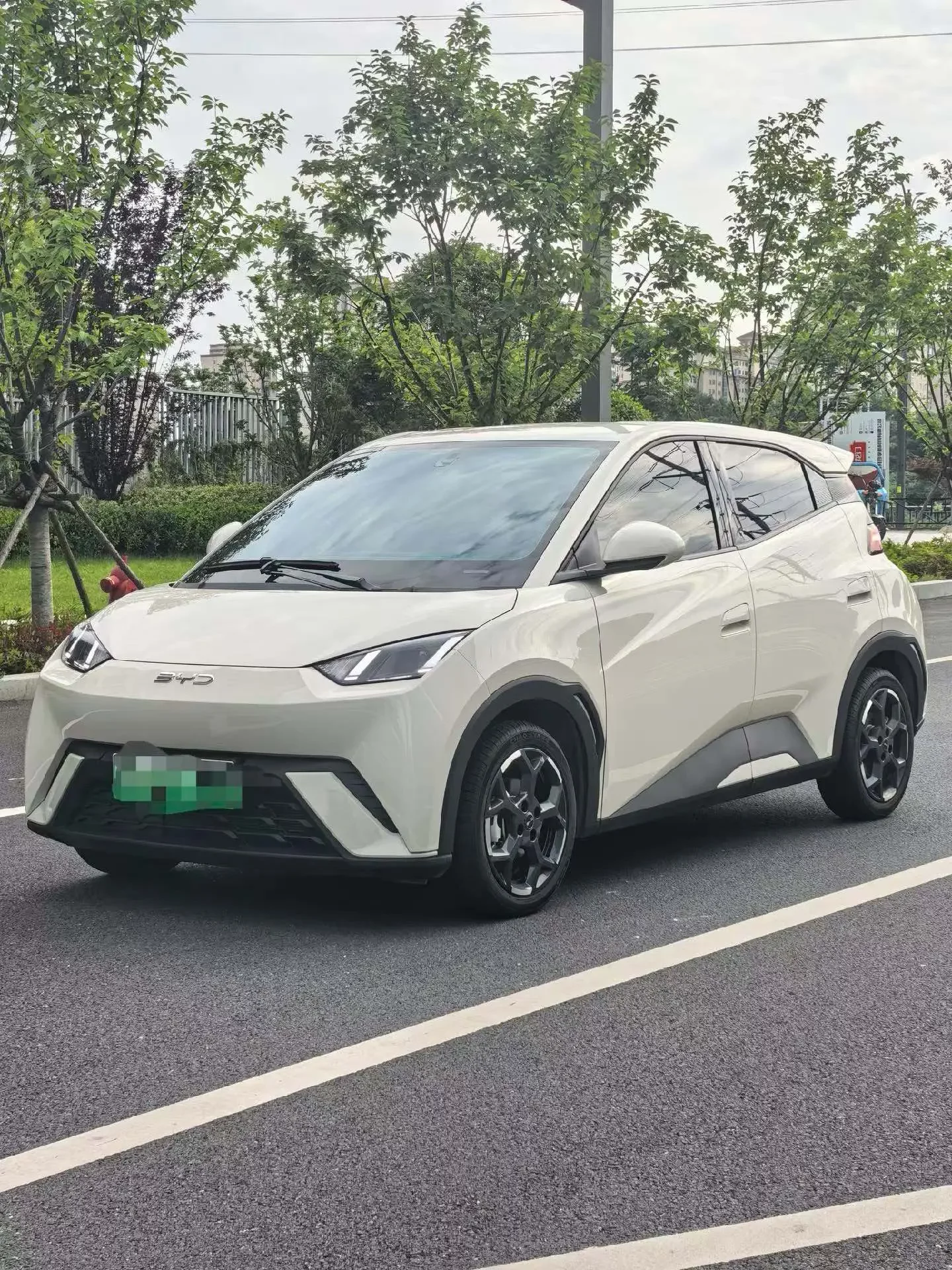 BYD seagull