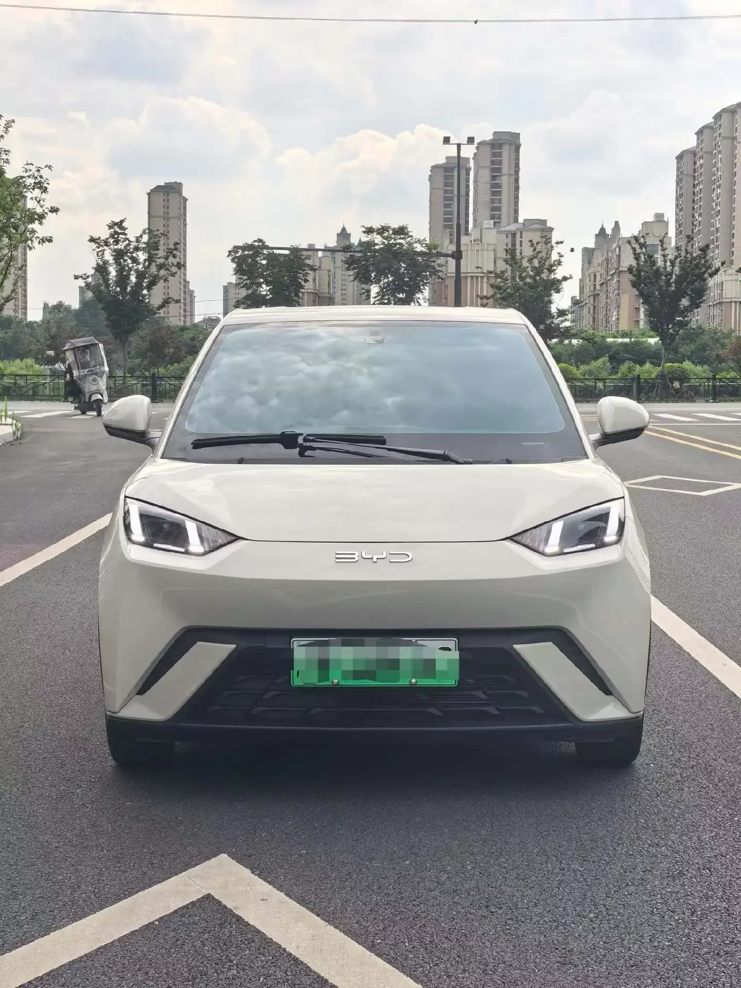 BYD seagull