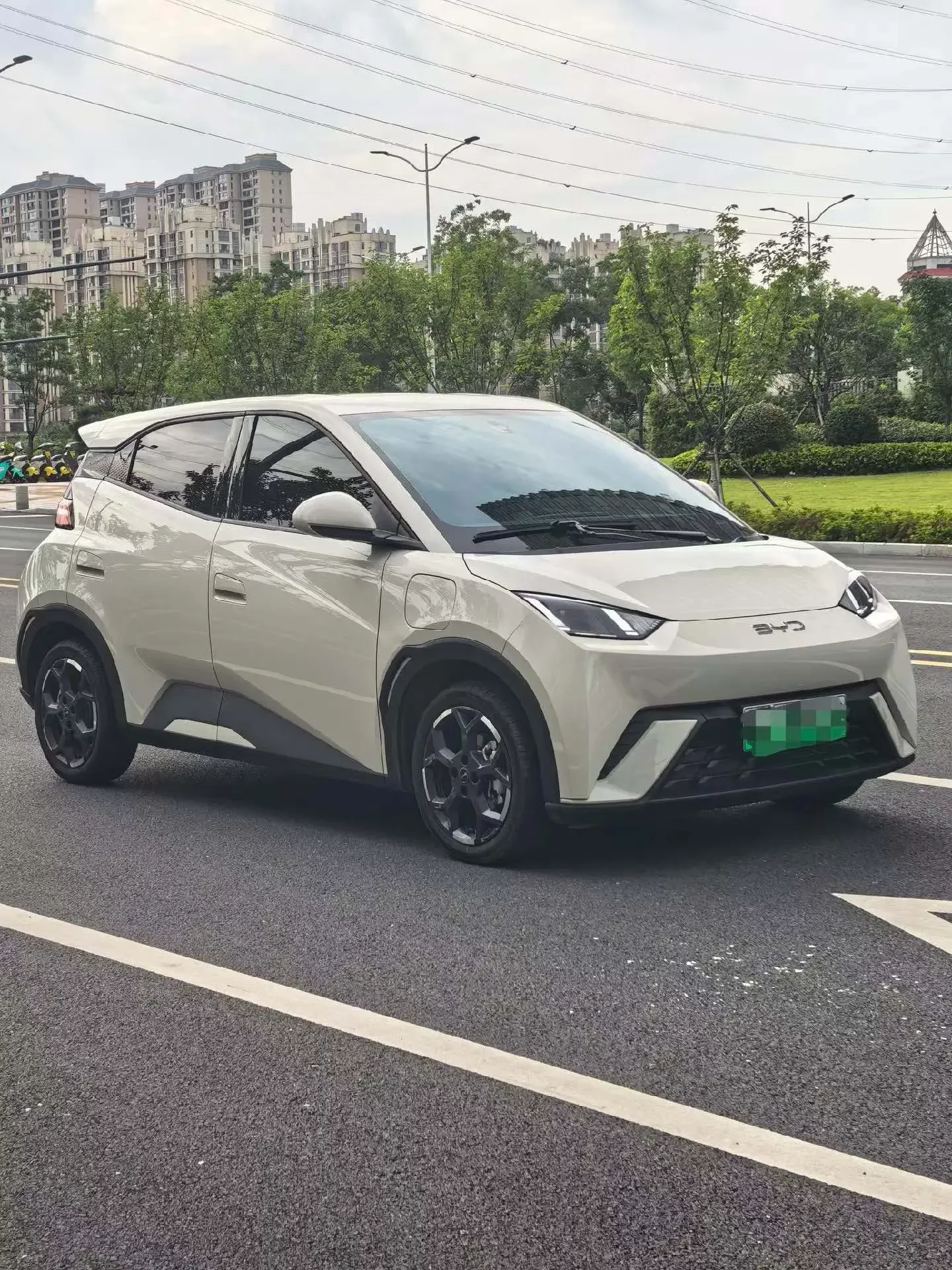 BYD seagull