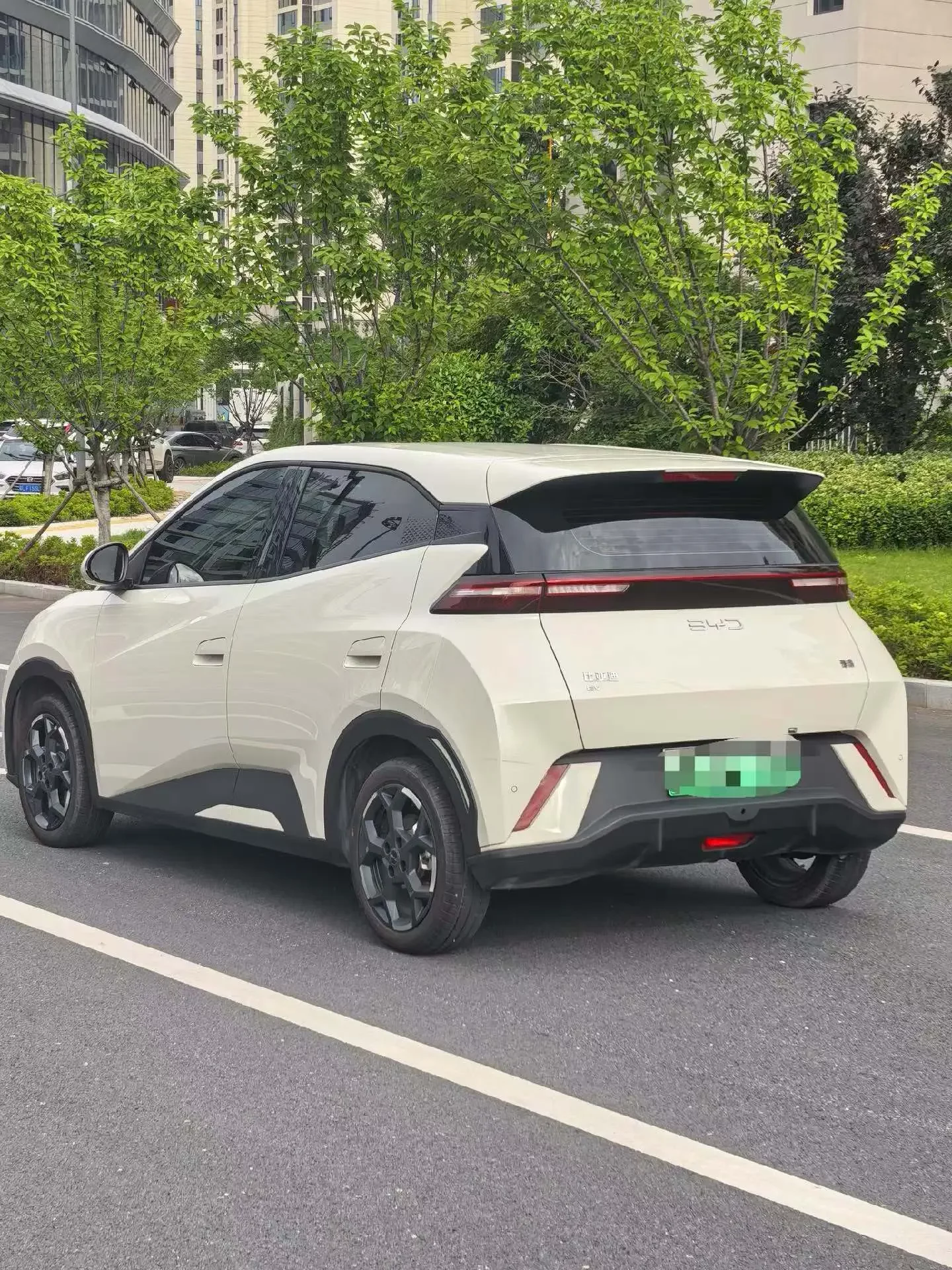 BYD seagull