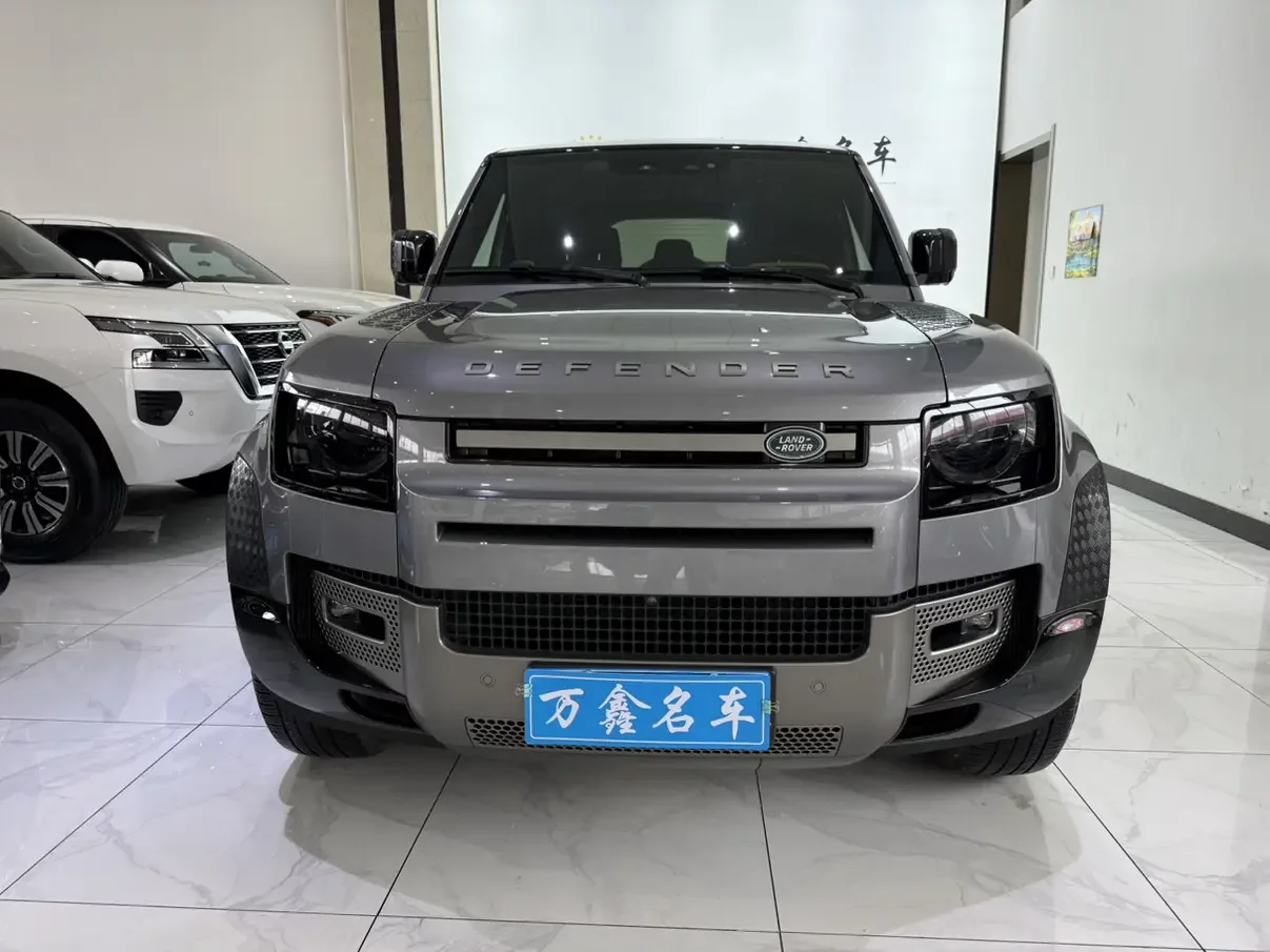 Land Rover guard