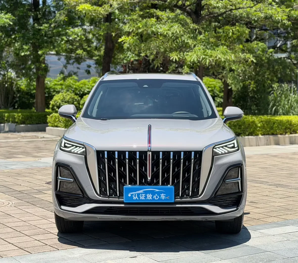 Hongqi HS5